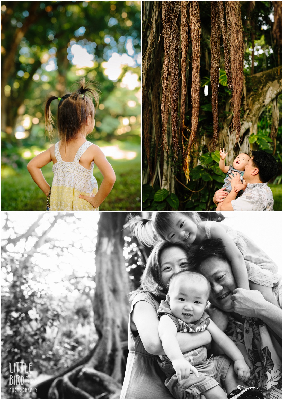 oahu family photographer at nuuanu park