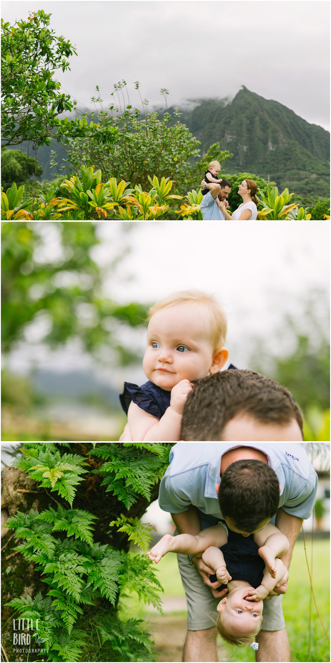 family lifestyle session in kaneohe oahu