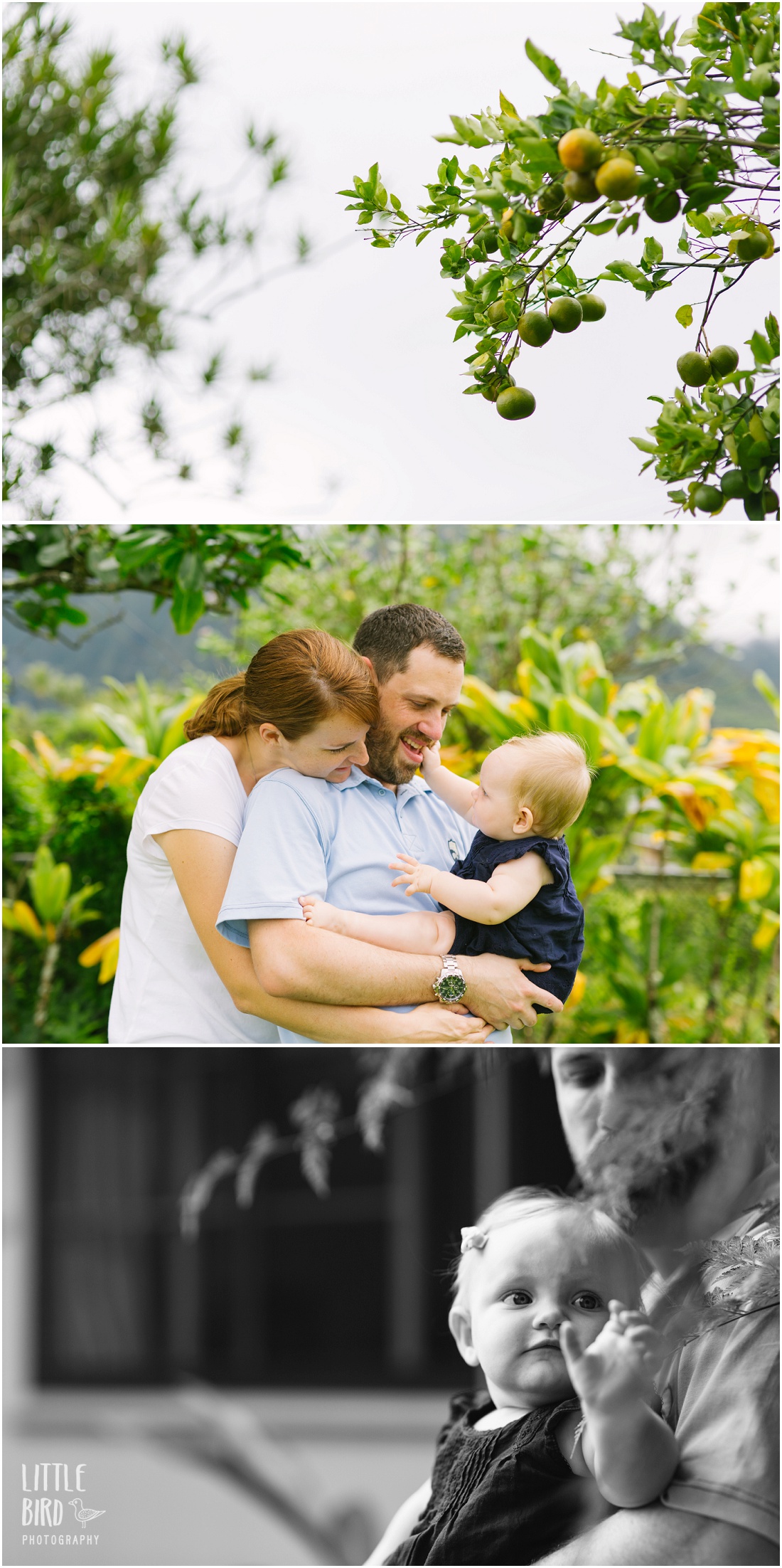 windward family photography at home in kaneohe