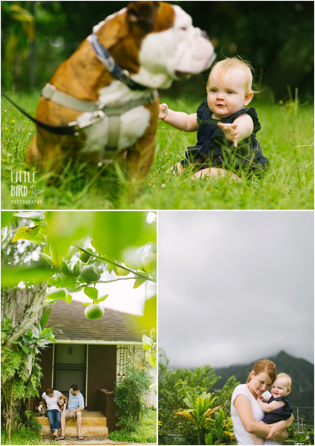 hawaii family lifestyle session