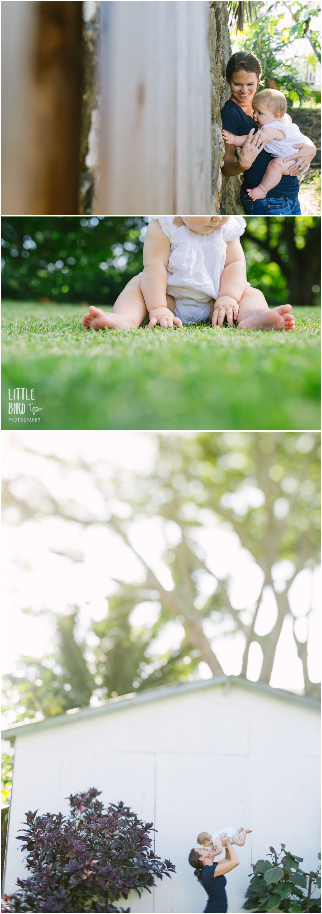 baby portraits at home in kailua hawaii