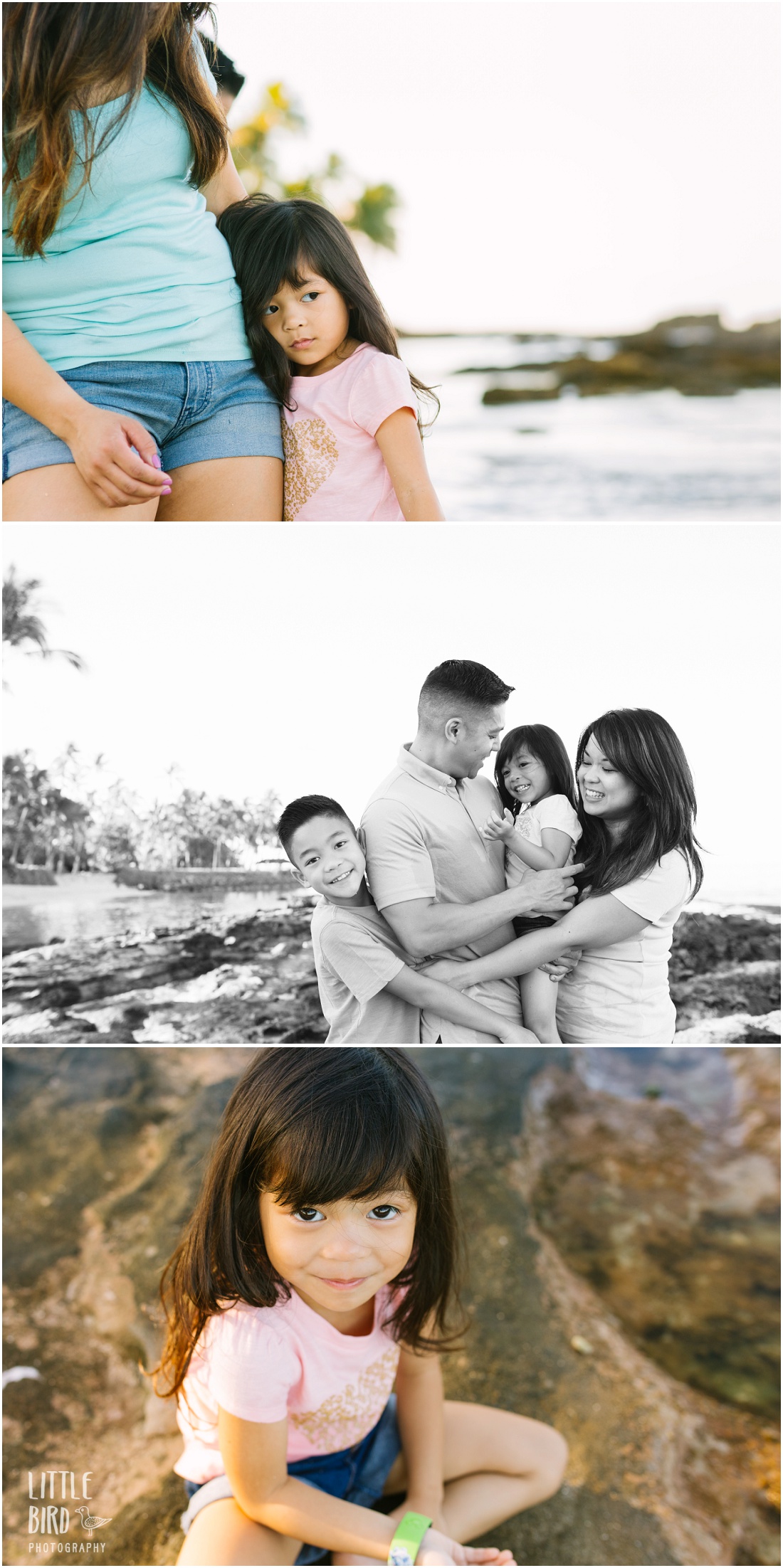 hawaii family portraits