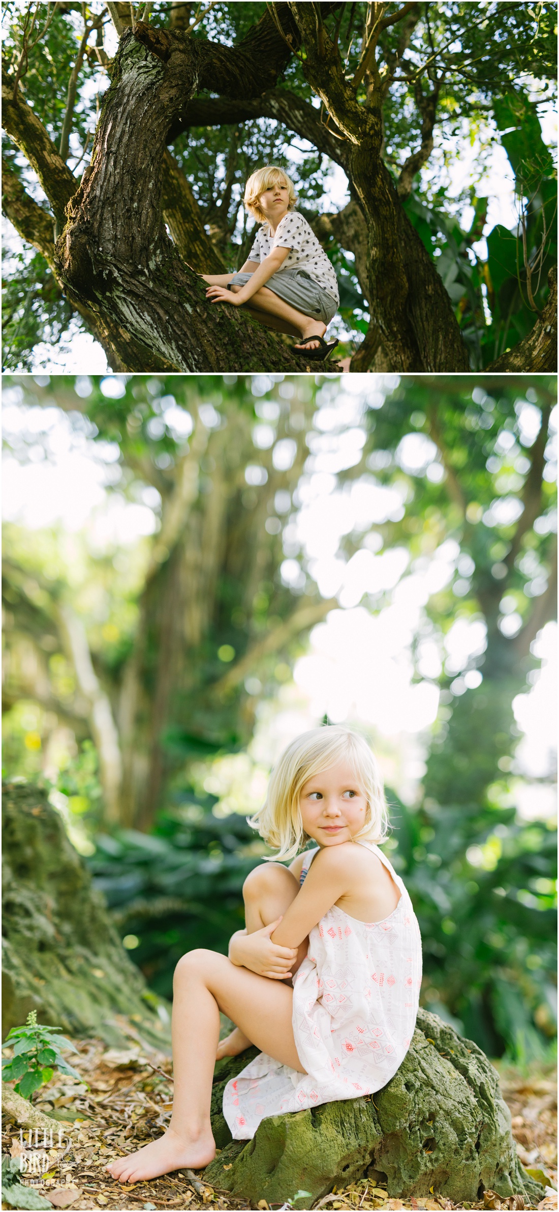 oahu family lifestyle photography at nuuanu valley park
