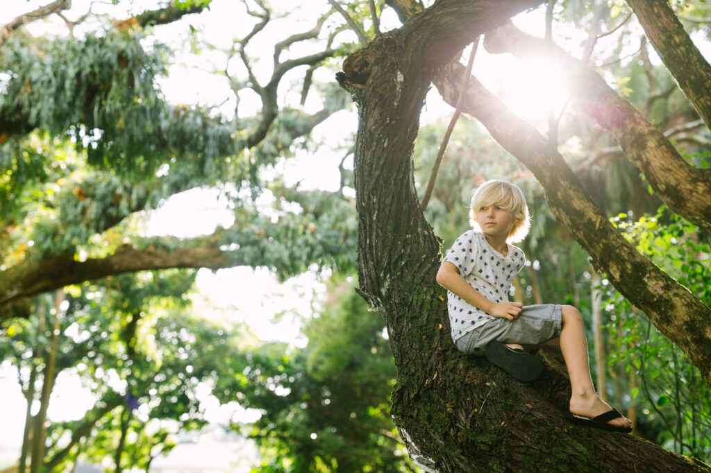 Exploring Nuuanu Valley Park — shaded lawns, banyan trees, and a peaceful escape for Oahu families.