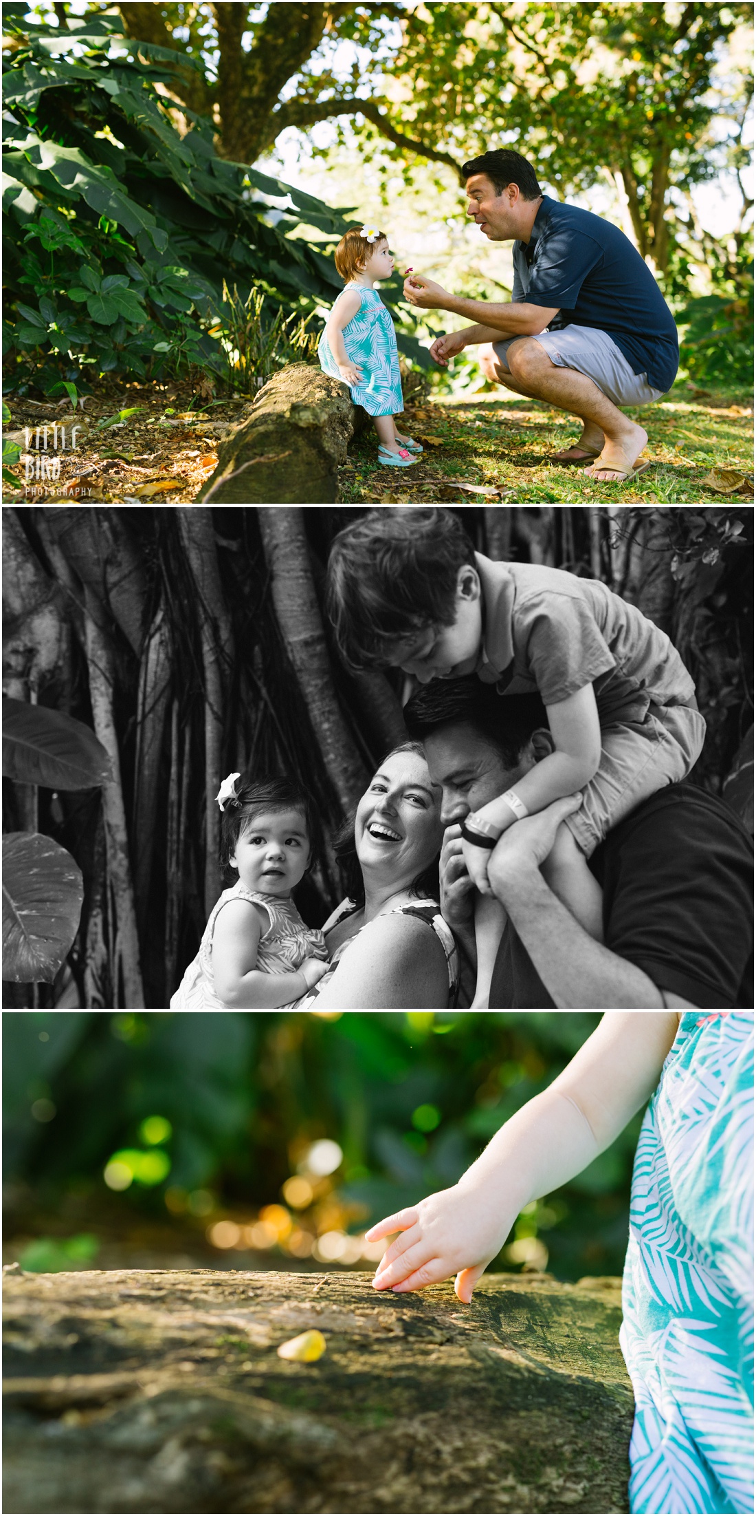 family portraits at a beautiful park on oahu