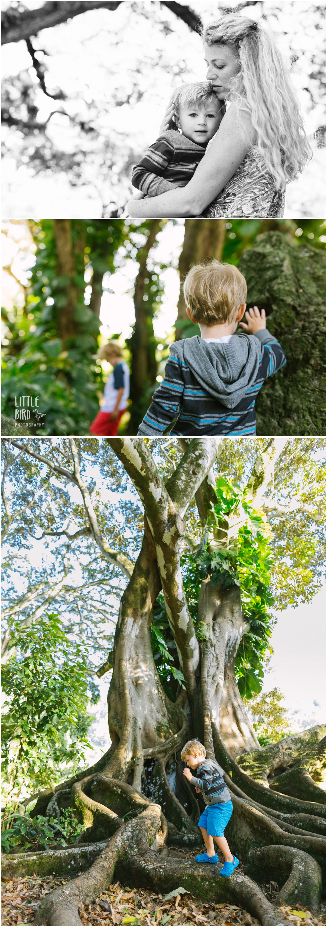 kids exploring forest nuuanu park oahu