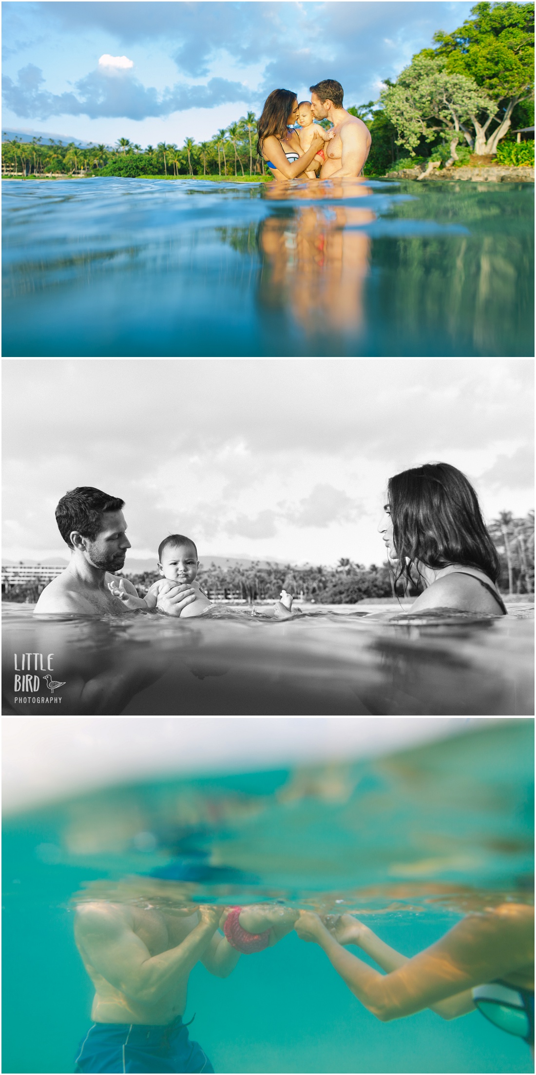 10-underwater-family-portraits-in-kona-hawaii