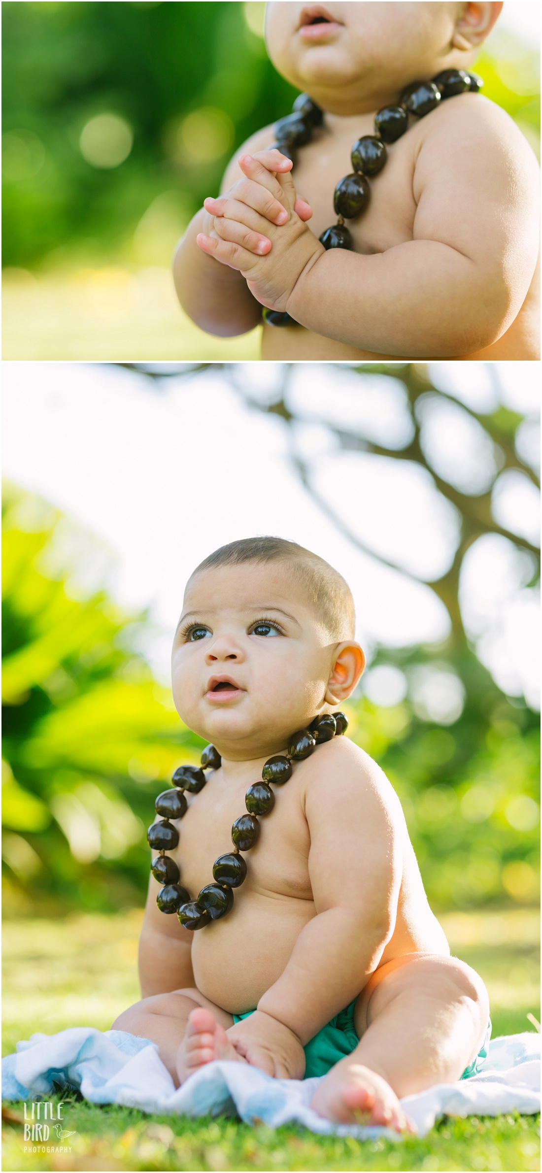 hawaii baby photography kalama-beach-kailua