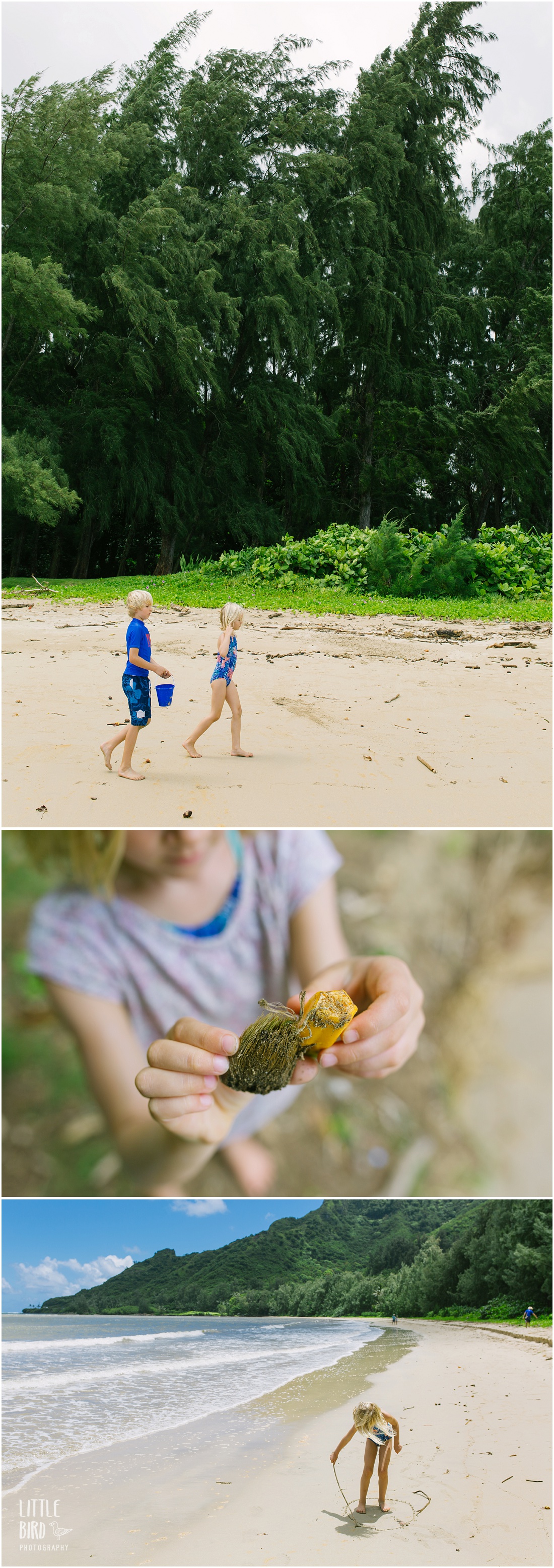 Kahana-bay-best-toddler-beach-oahu_0042