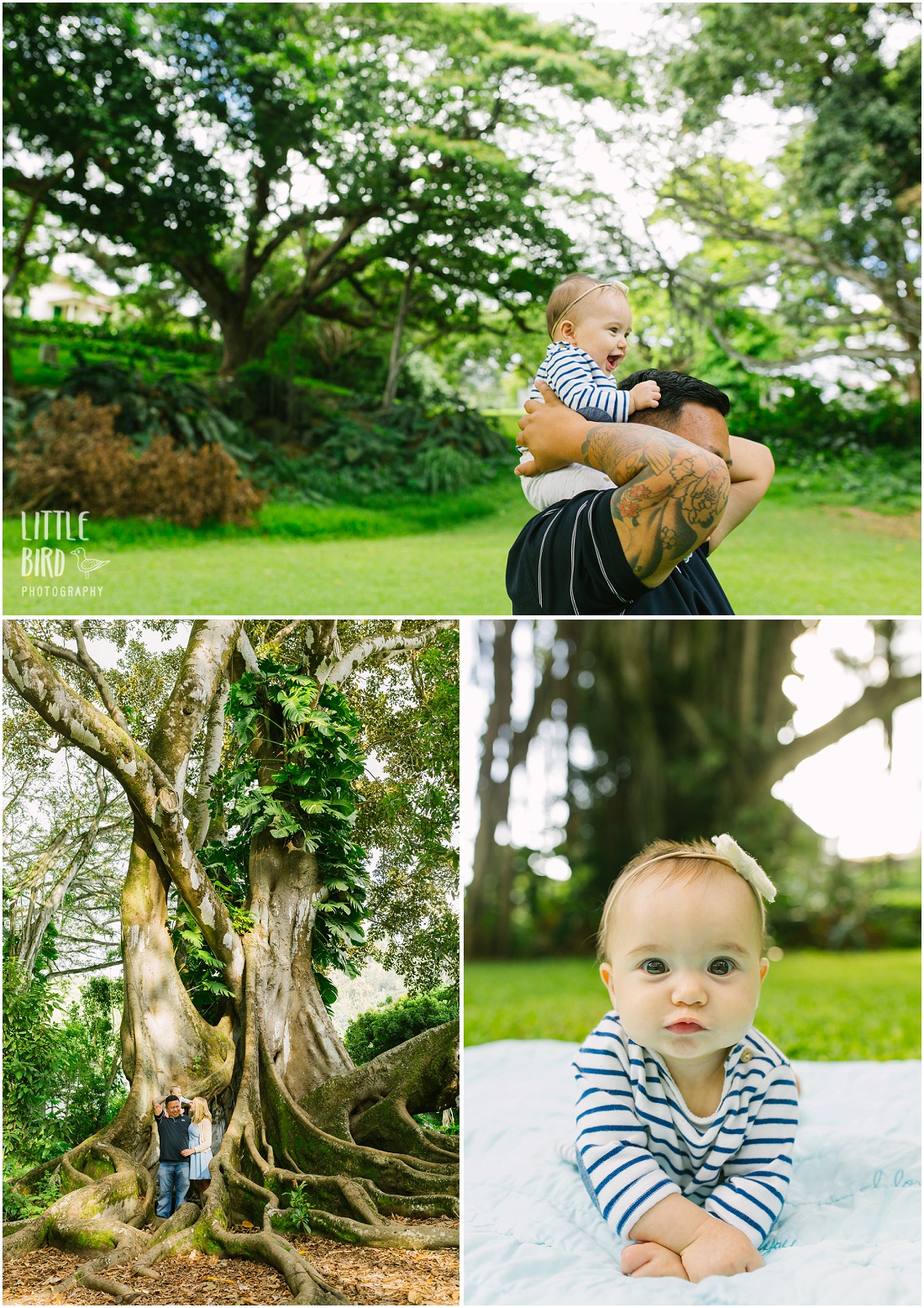 hawaii baby photographer nuuanu park