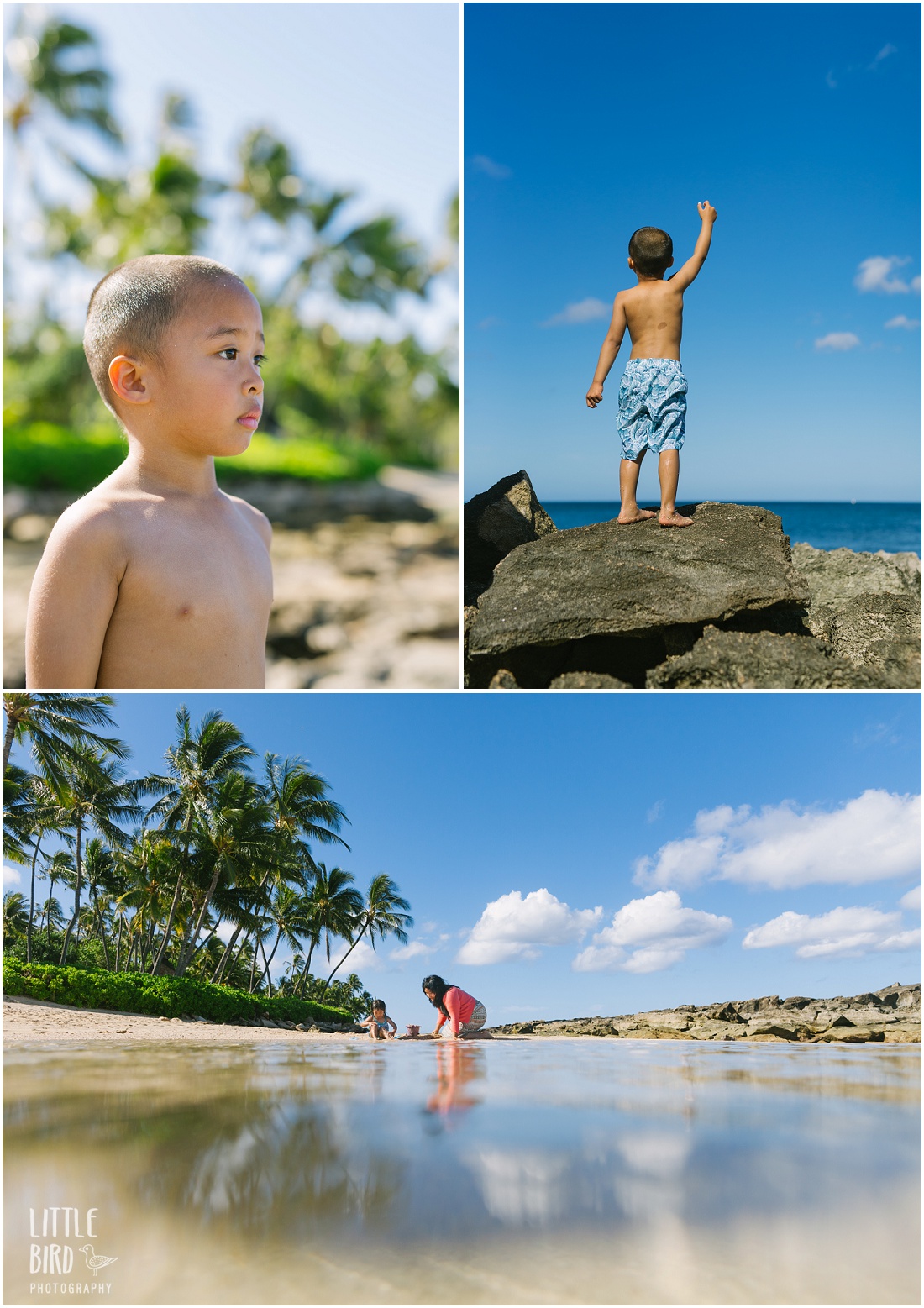 family portraits at the beach koolina oahu