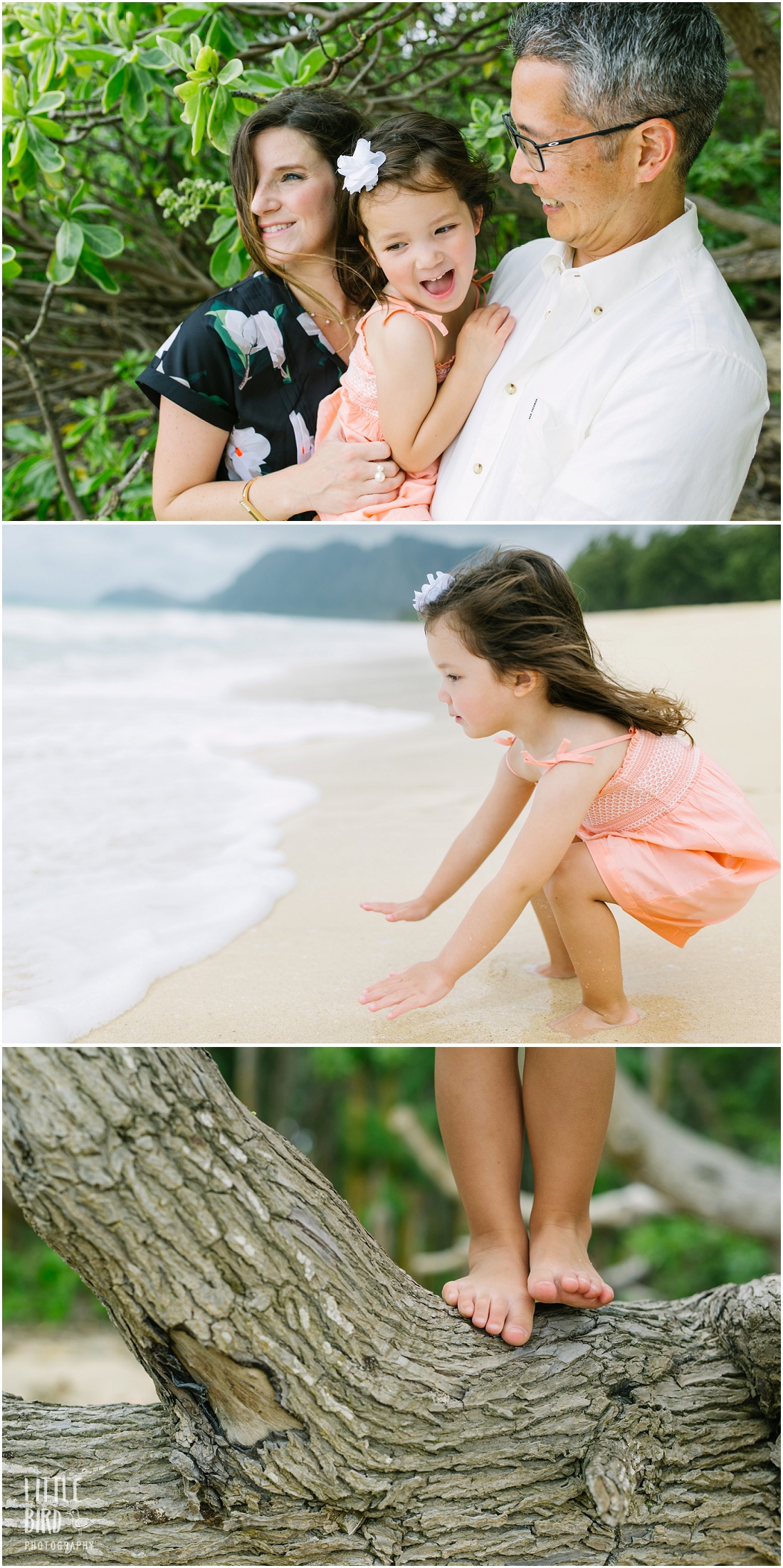 Hawaii family photographer