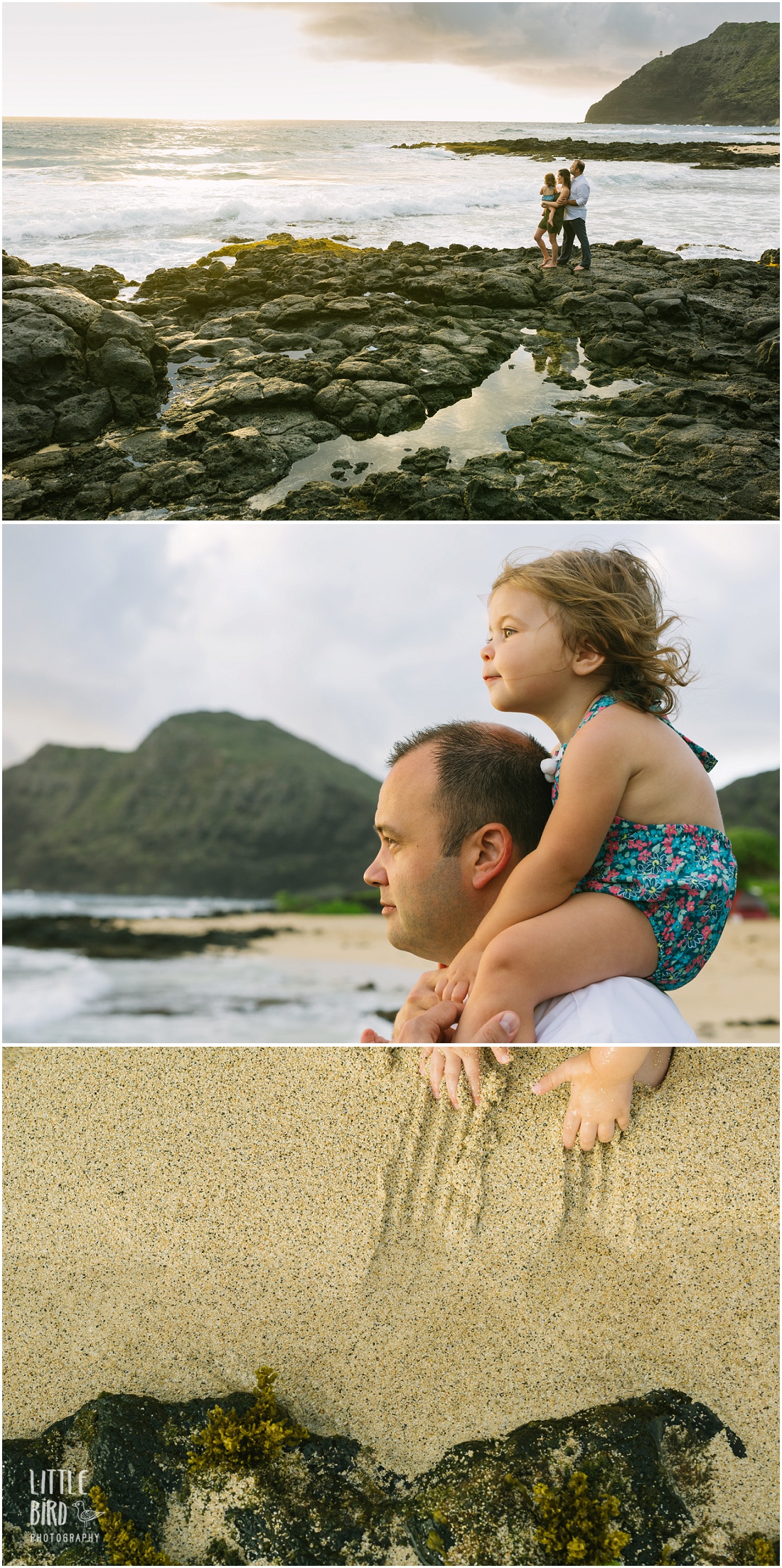 hawaii family portraits at the beach