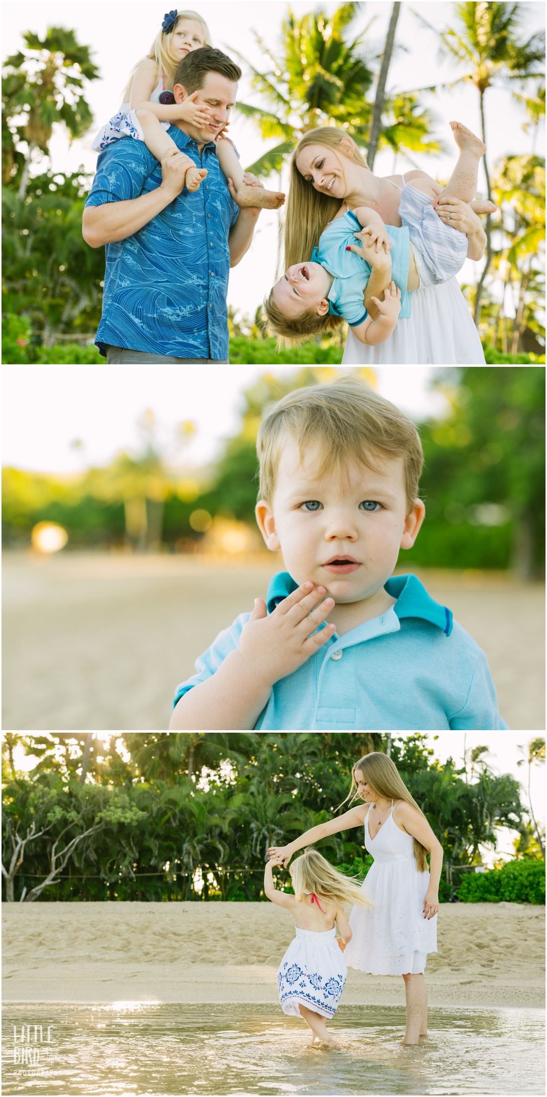four seasons family photography session