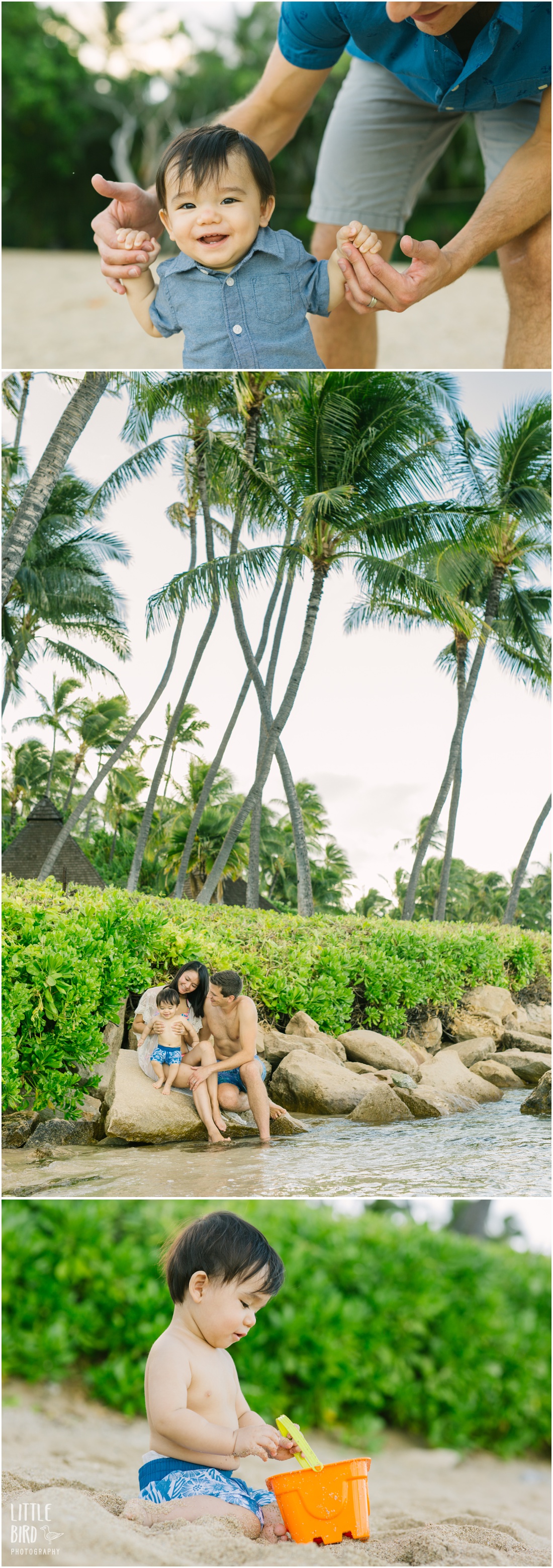 Koolina Family Portrait Photographer