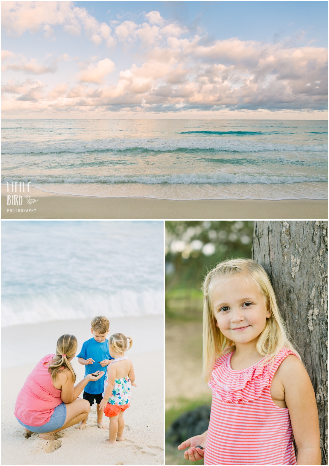 family beach portraits at bellows