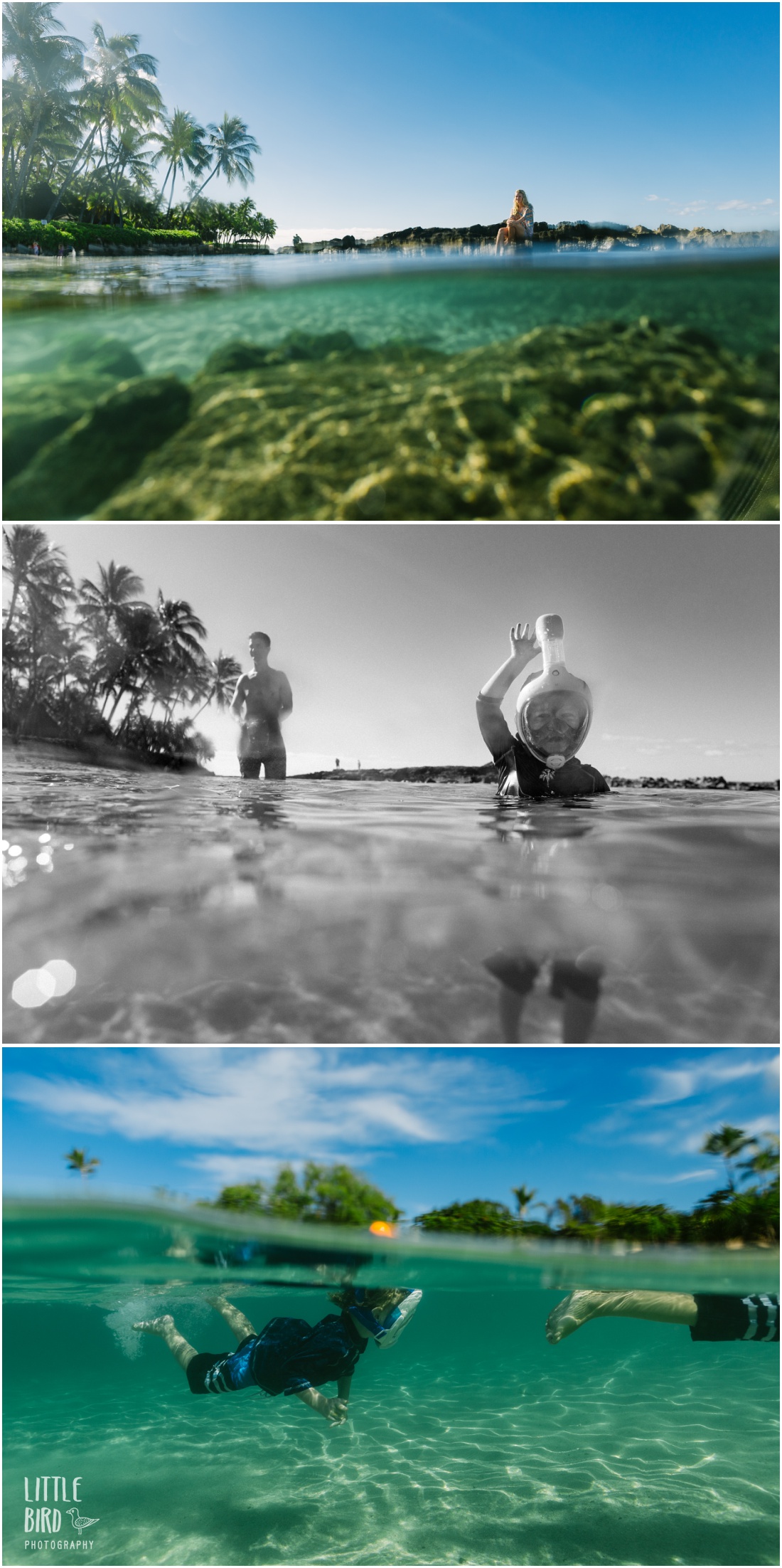 hawaii underwater family photography