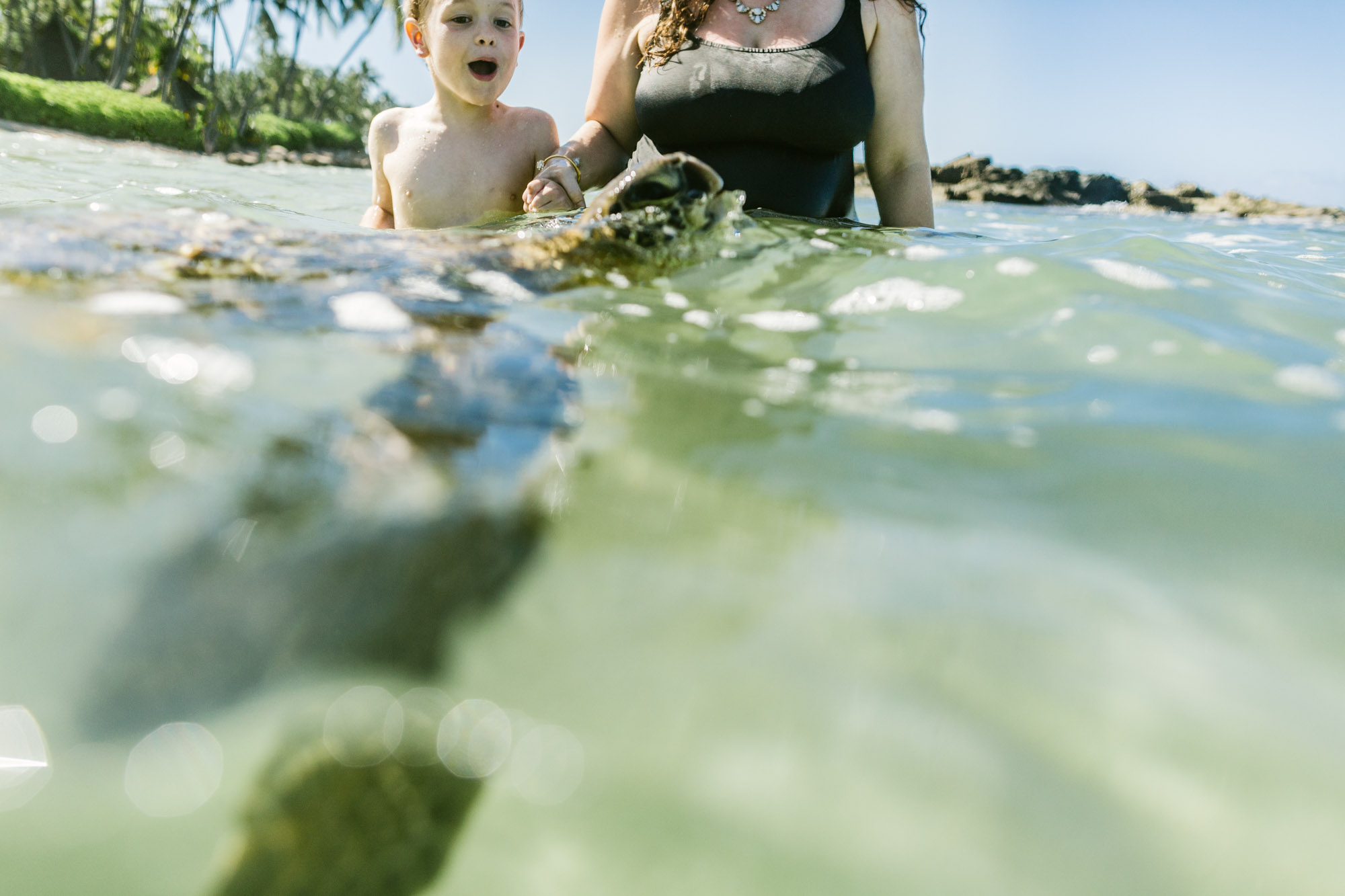 swimming with sea turtles in hawaii