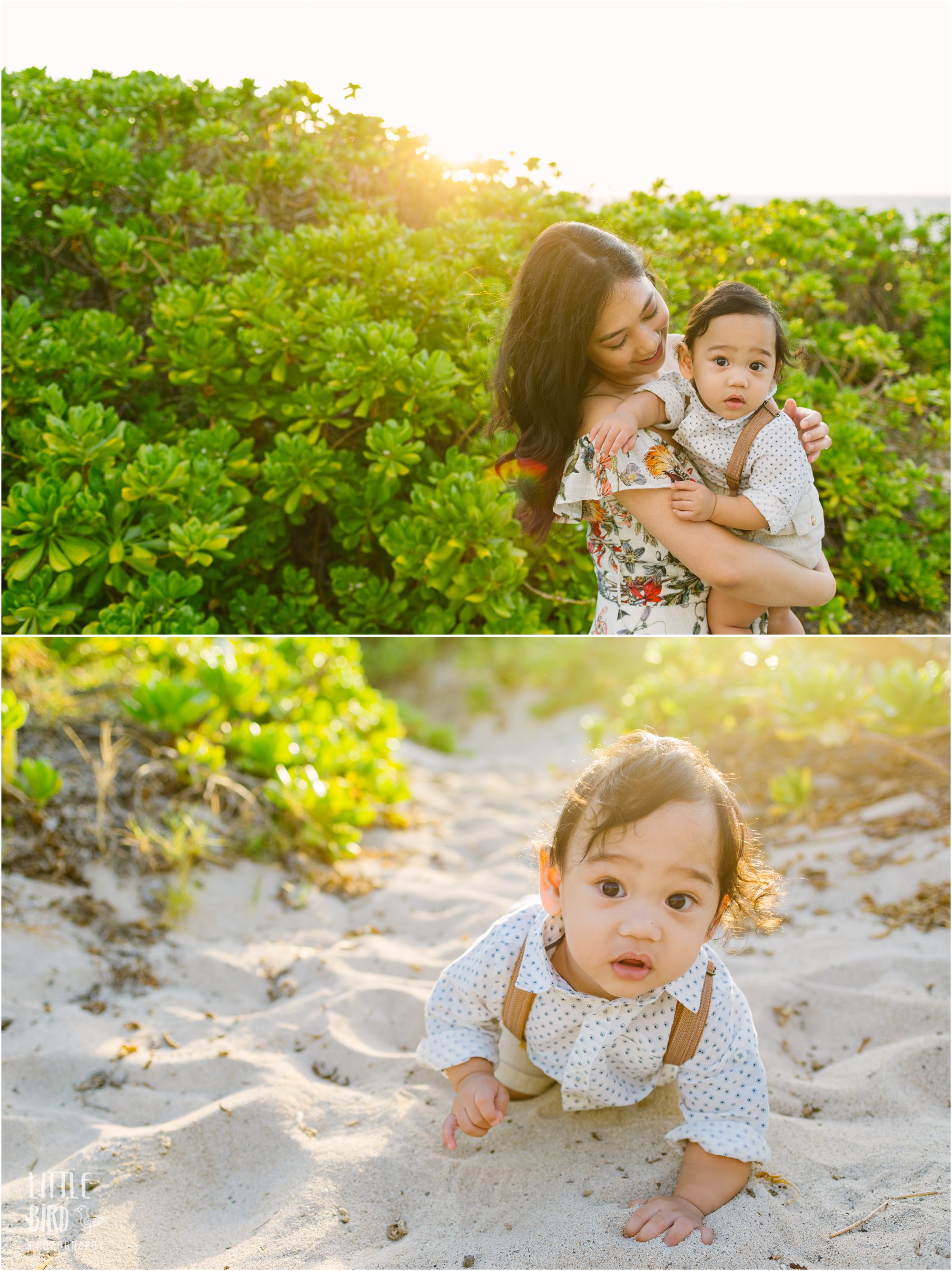 makapuu beach family photography in hawaii
