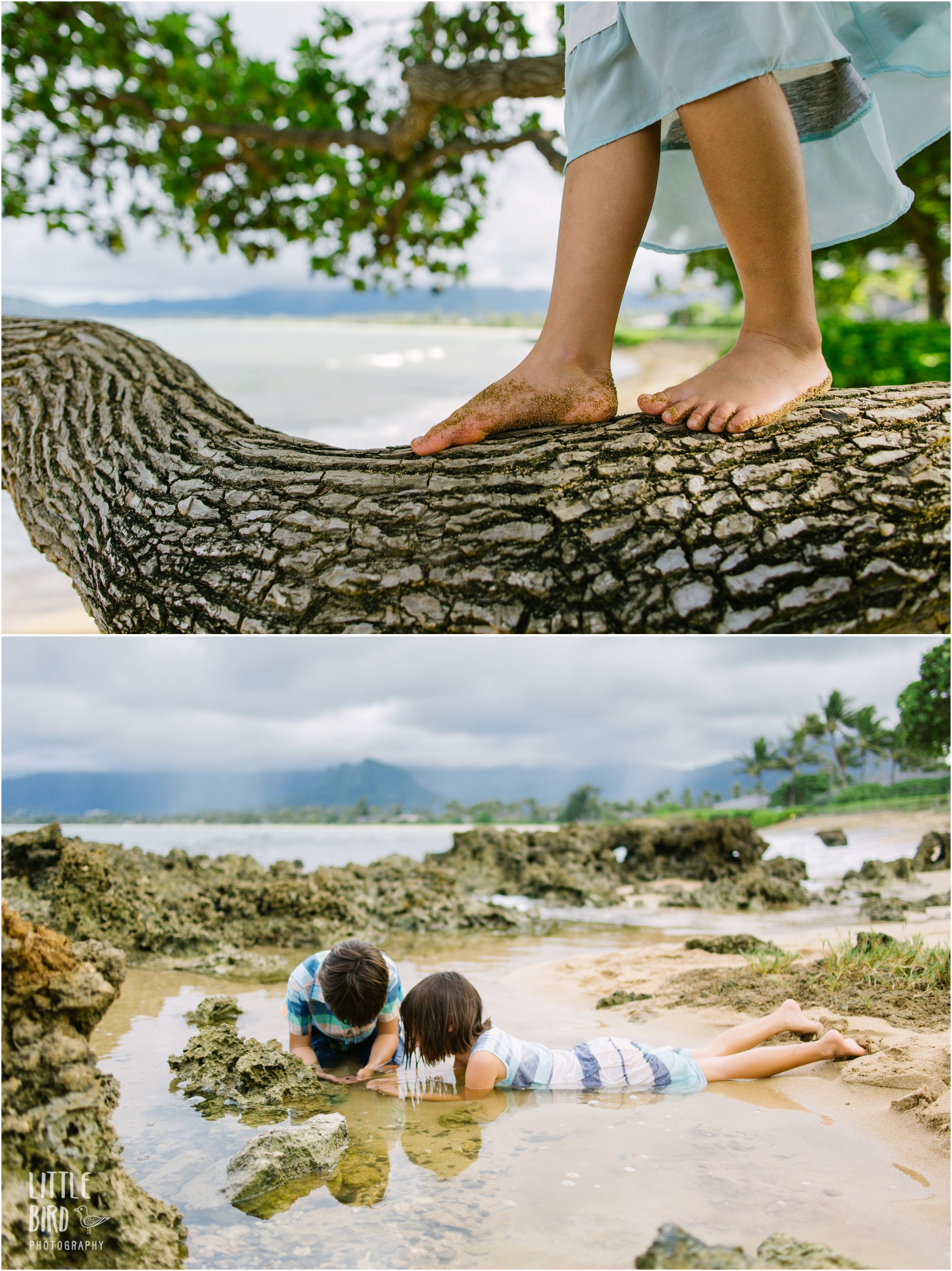 kailua beach family photography