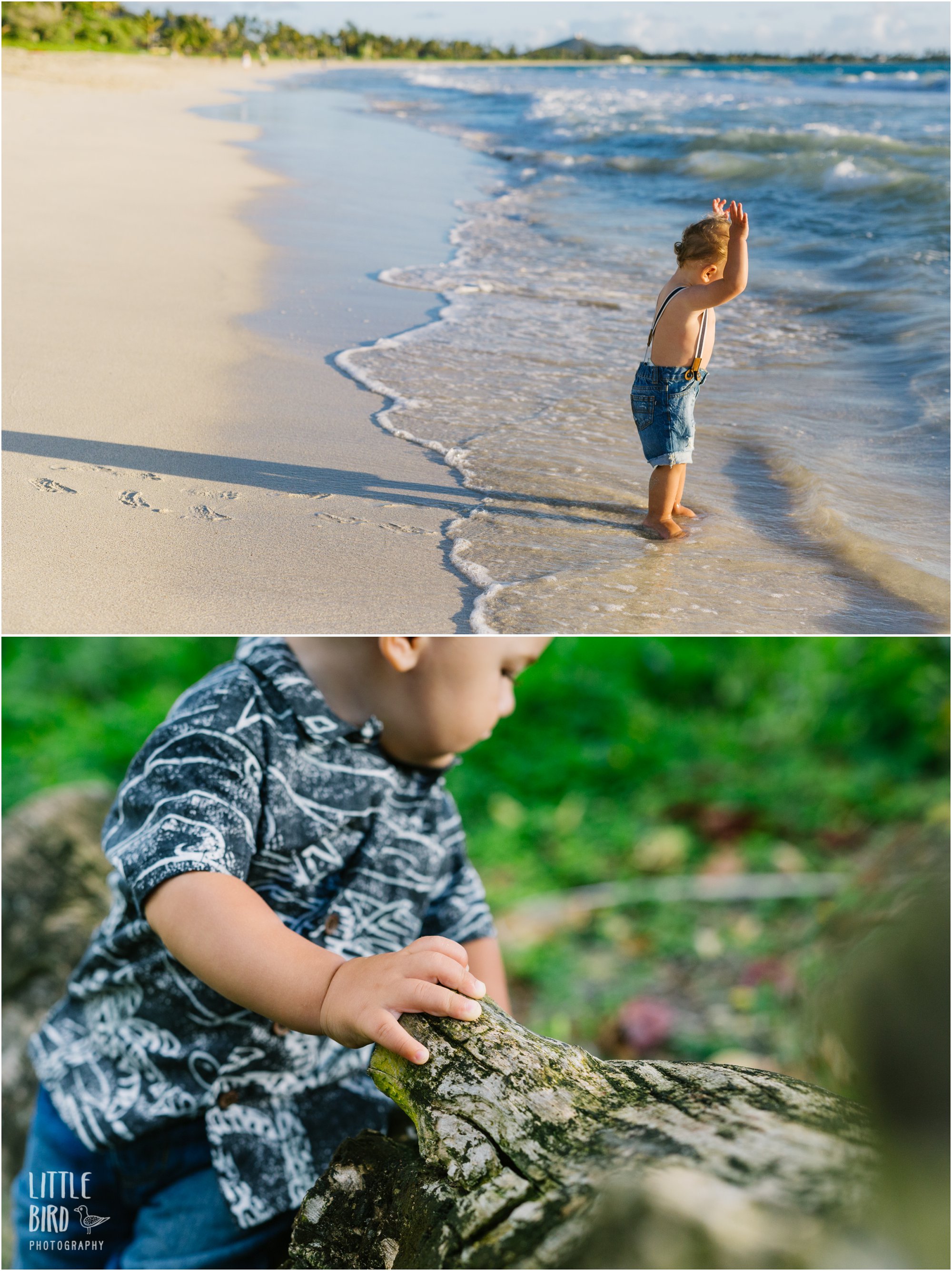 Milestones | MCBH family photographer | Fun Oahu Family Photography and ...