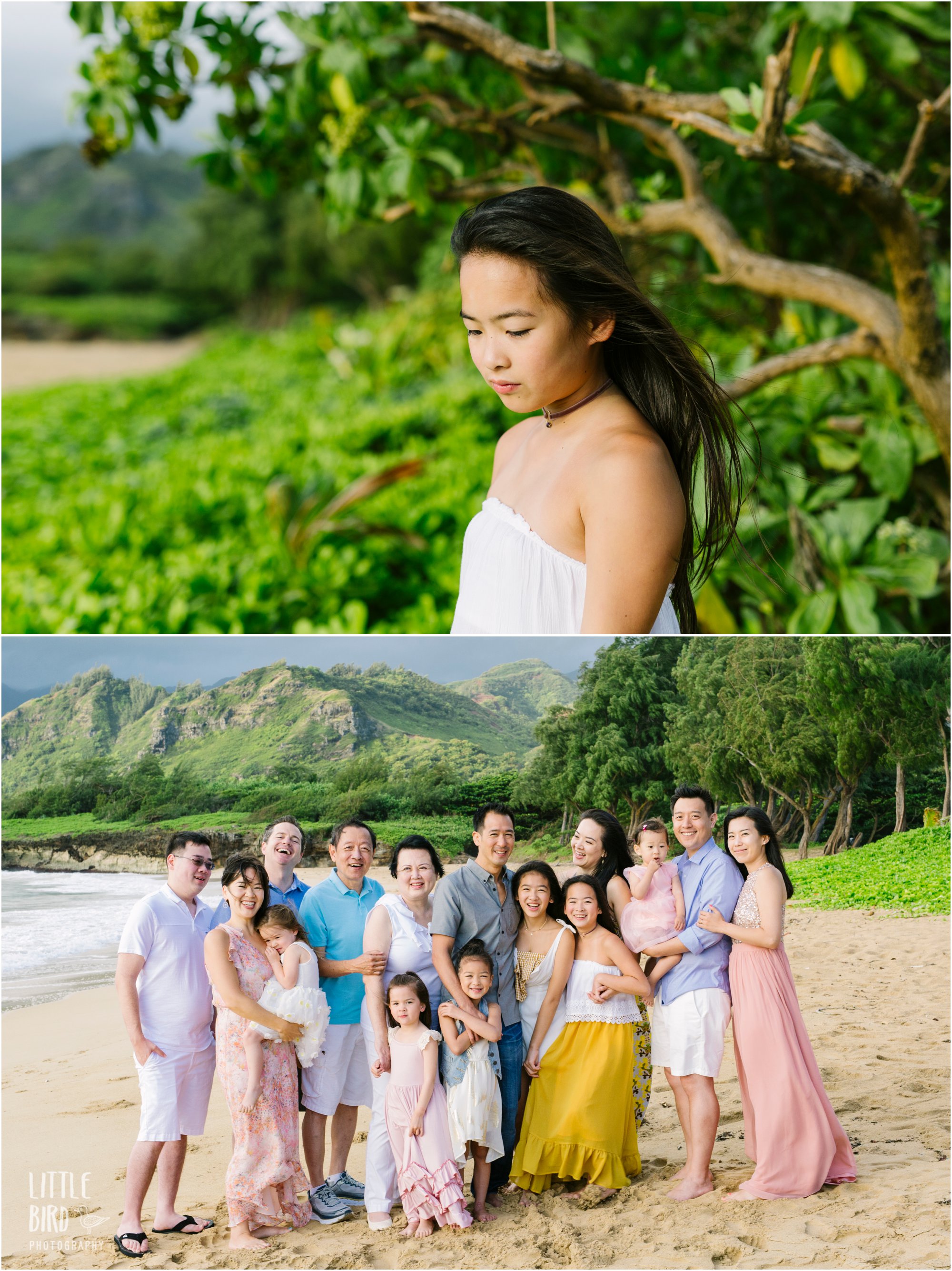 Oahu family reunion