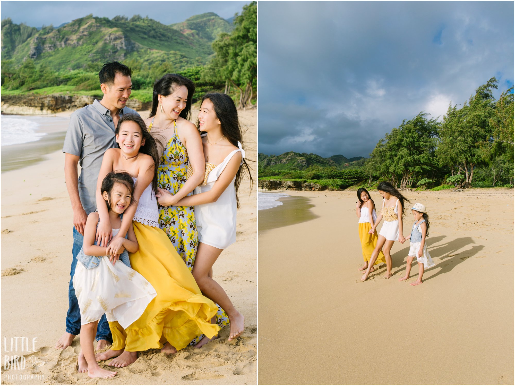 hawaii family beach portraits