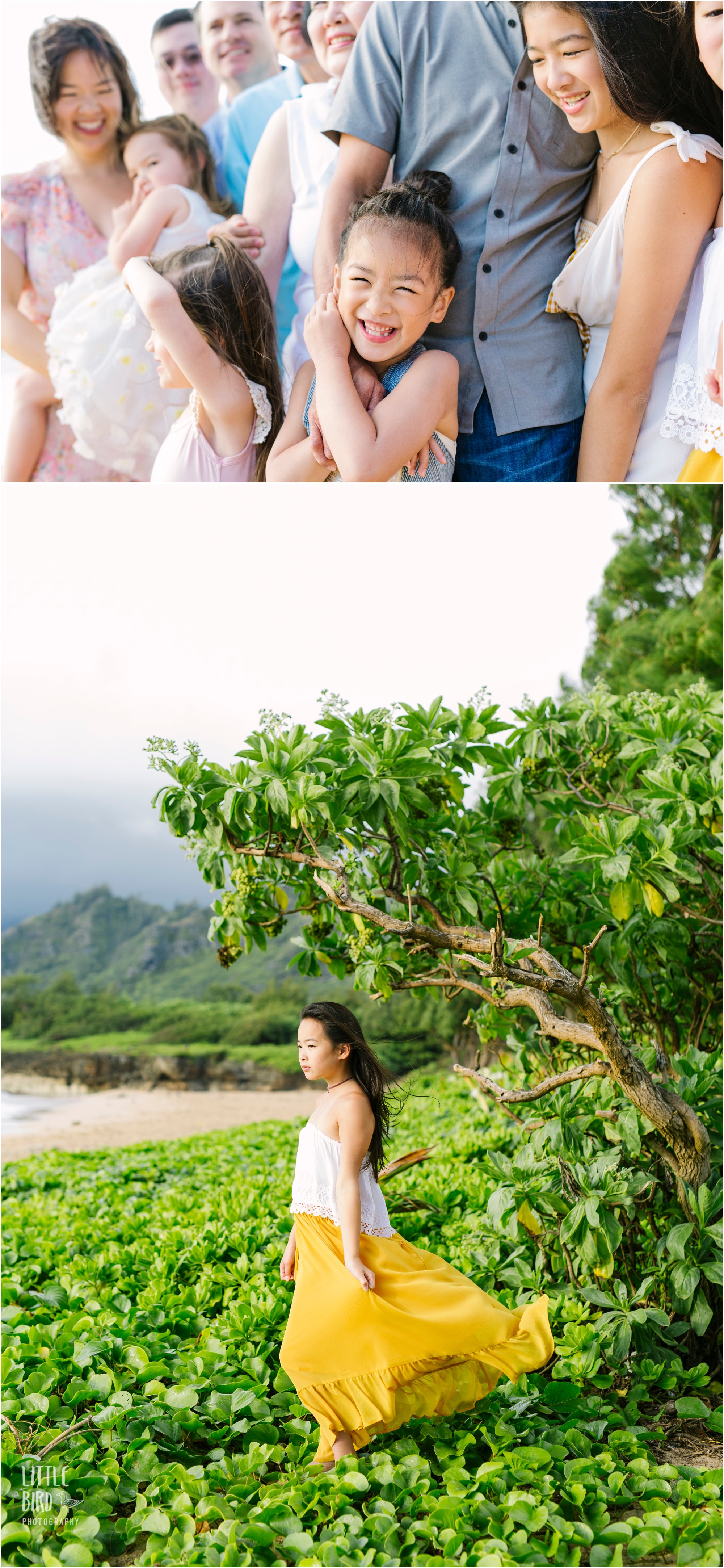 family reunion photo session in hawaii