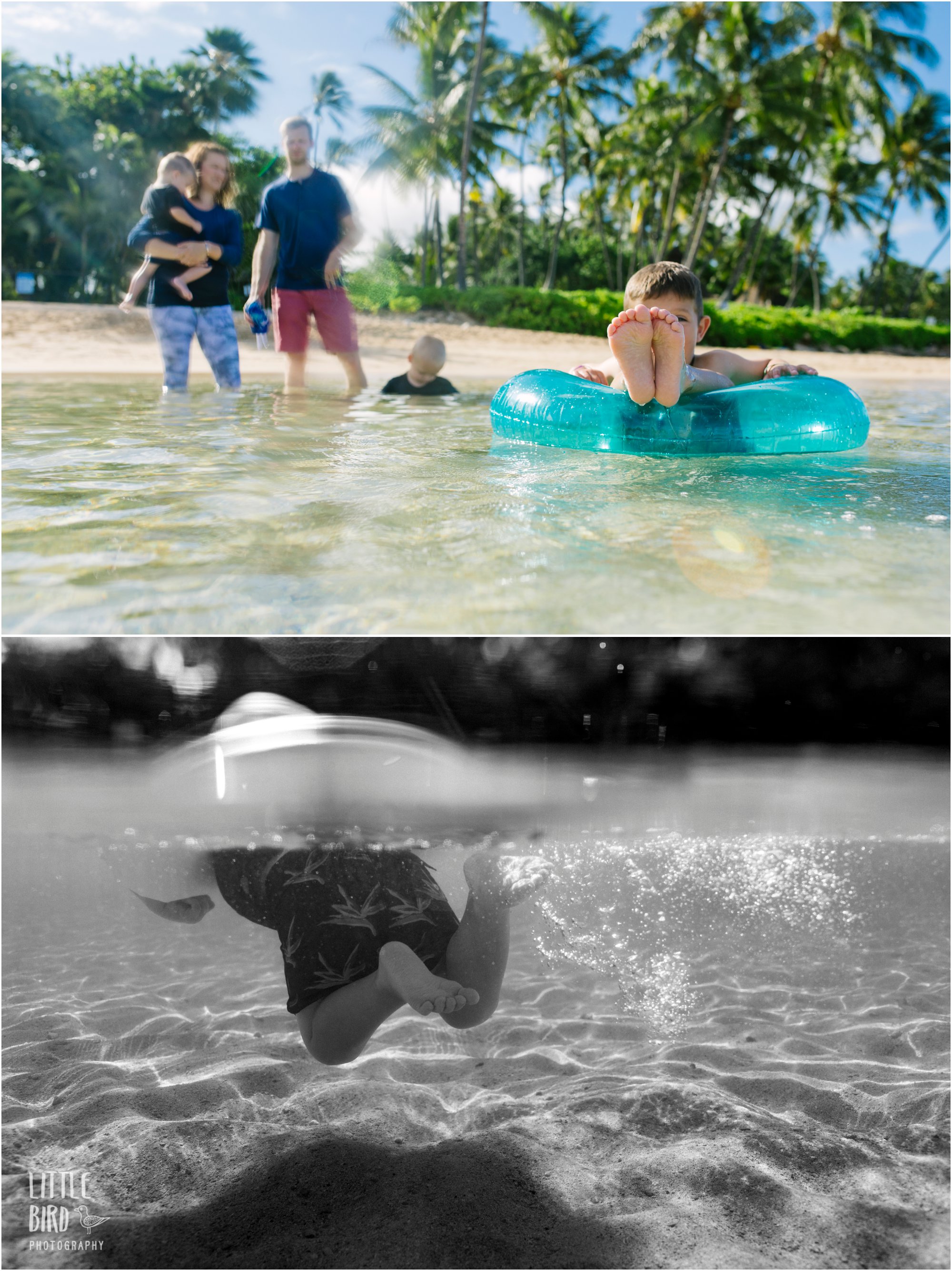hawaii underwater photographer