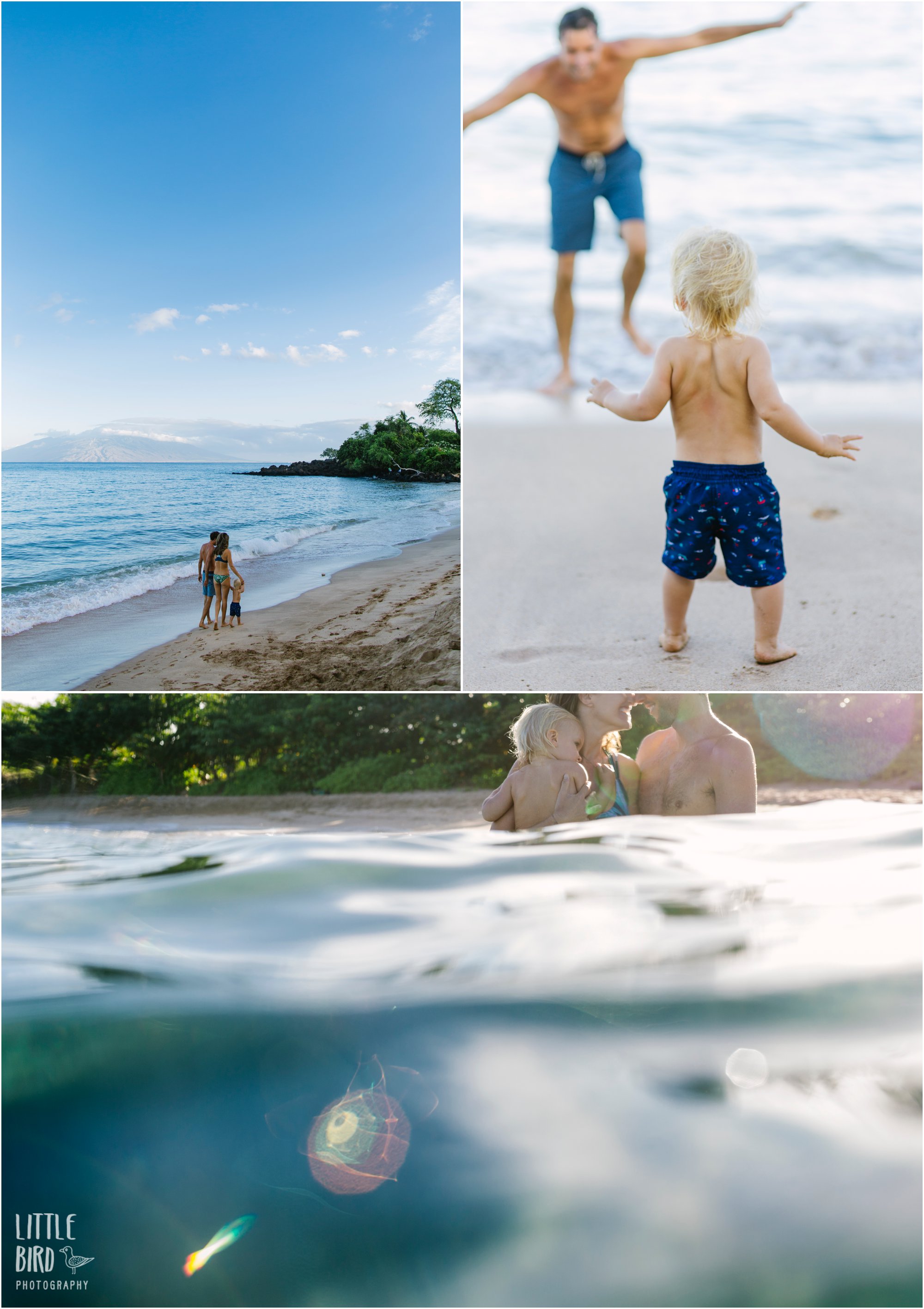 hawaii water family photography