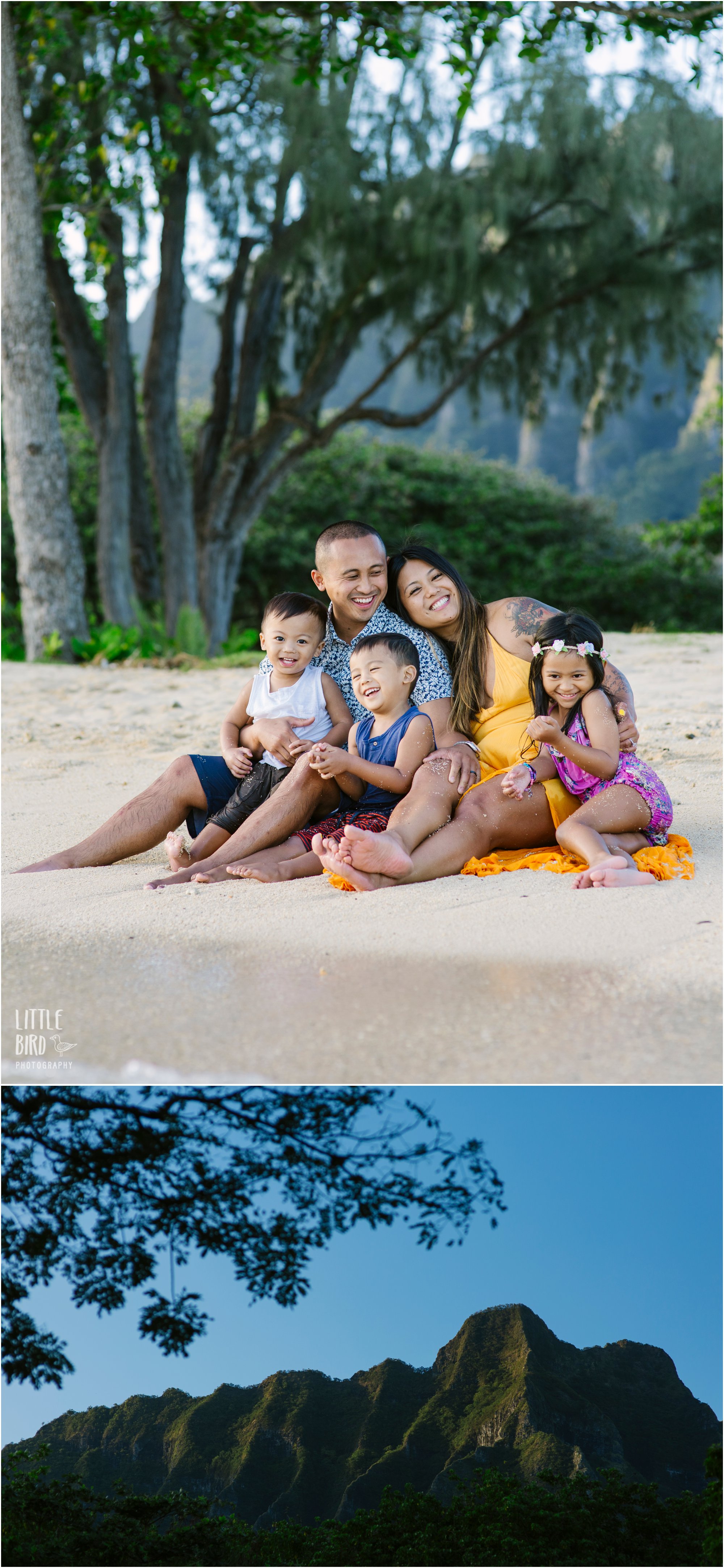 hawaii family portraits