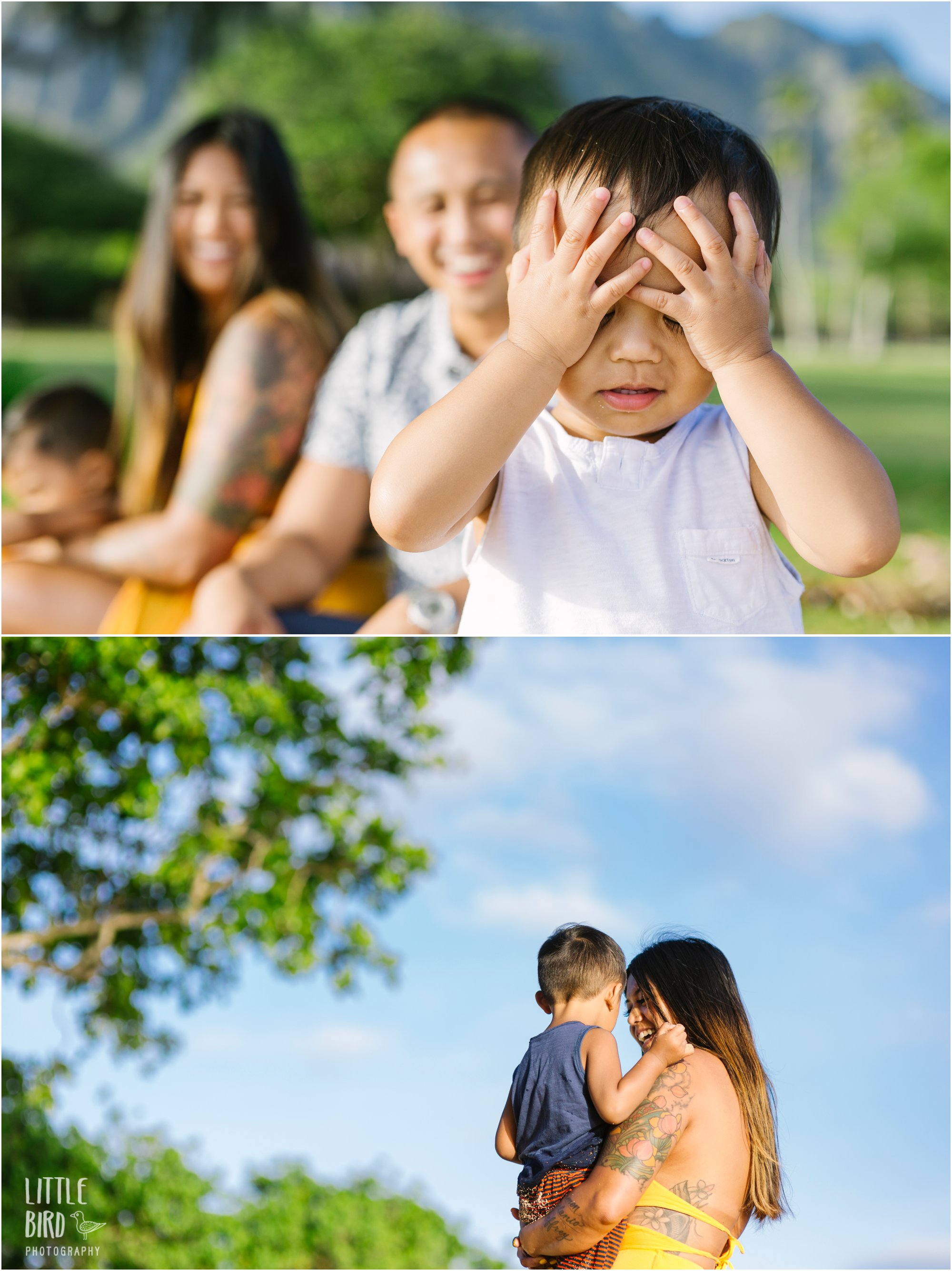 family portraits in hawaii