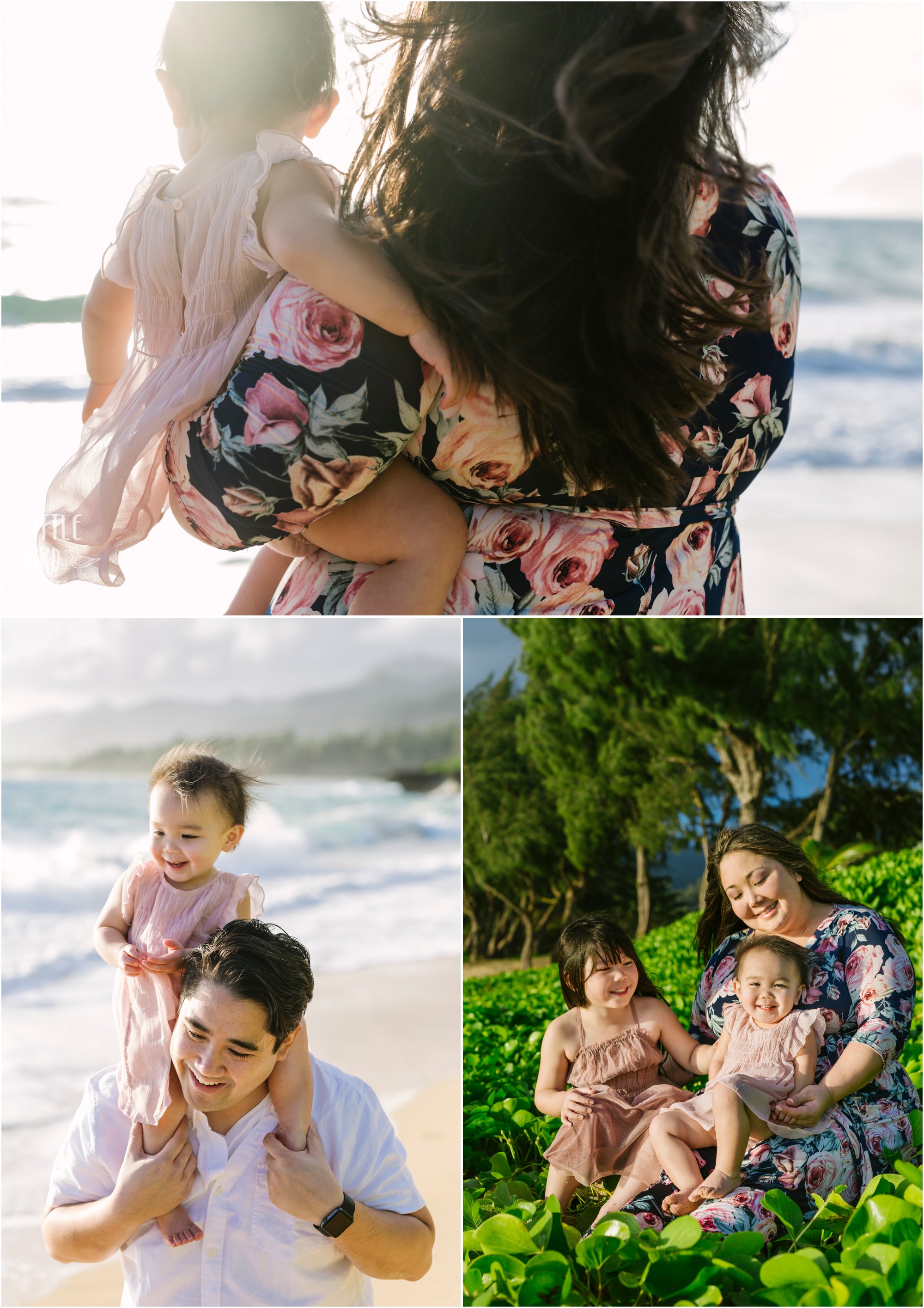 hawaii family photgrapher laie beach park