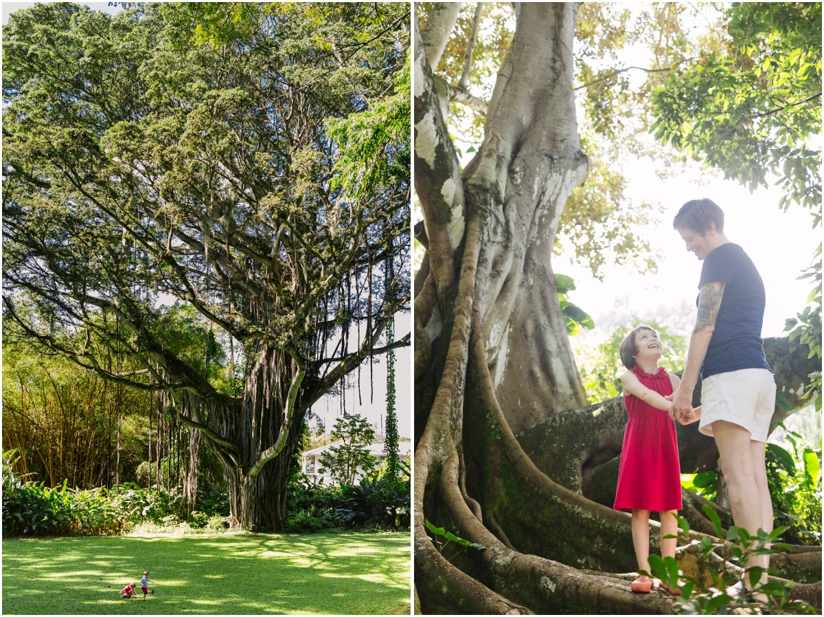 family photos under a big banyan tree on oahu