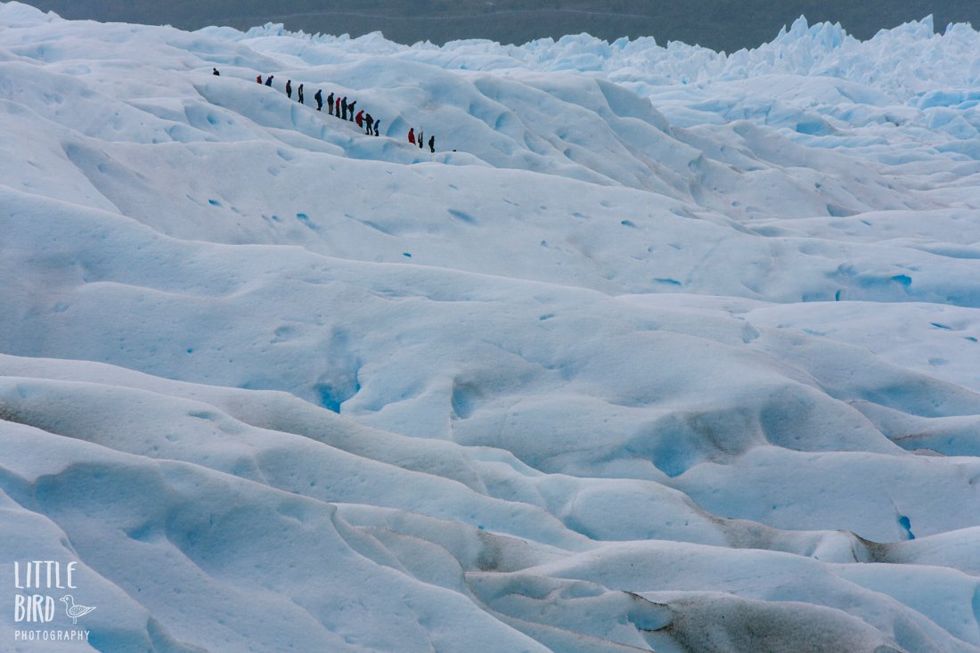 group walking acorss a glacier in patagonia