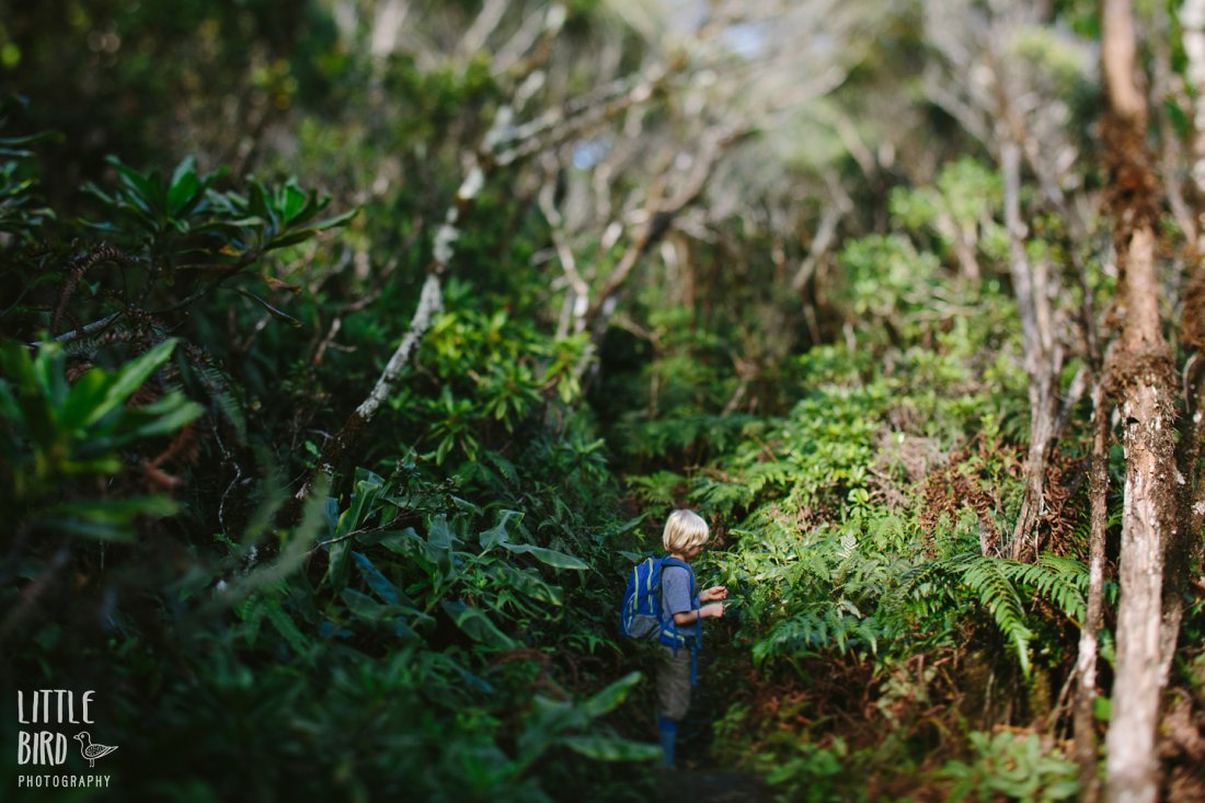 kid hiking in the rainforest on kauai