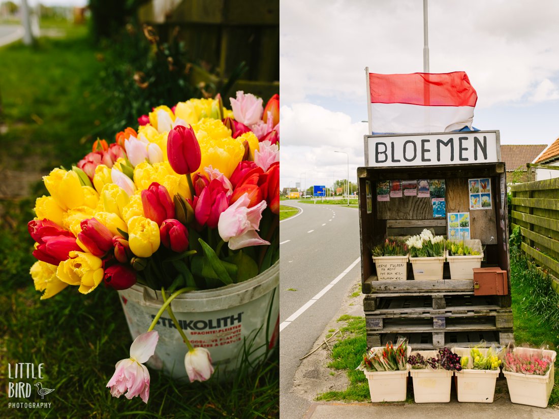 flower stall in the netherlands
