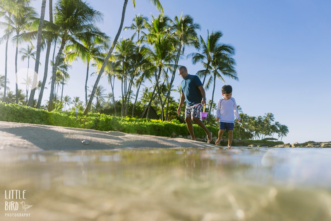 exploring tide pools in hawaii at a hawaii family photoshoot