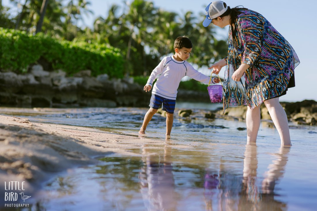 mom and son collecting shells in hawaii