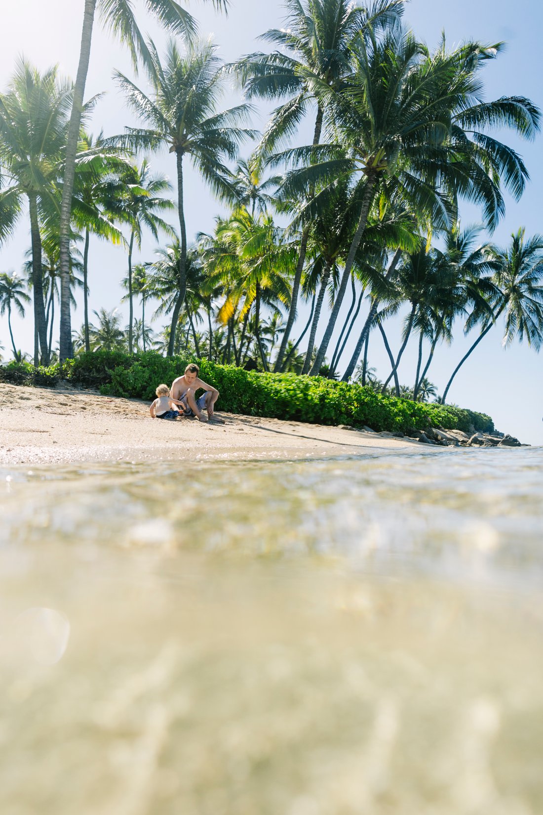 dad and son play in the sand with clear water and palm trees