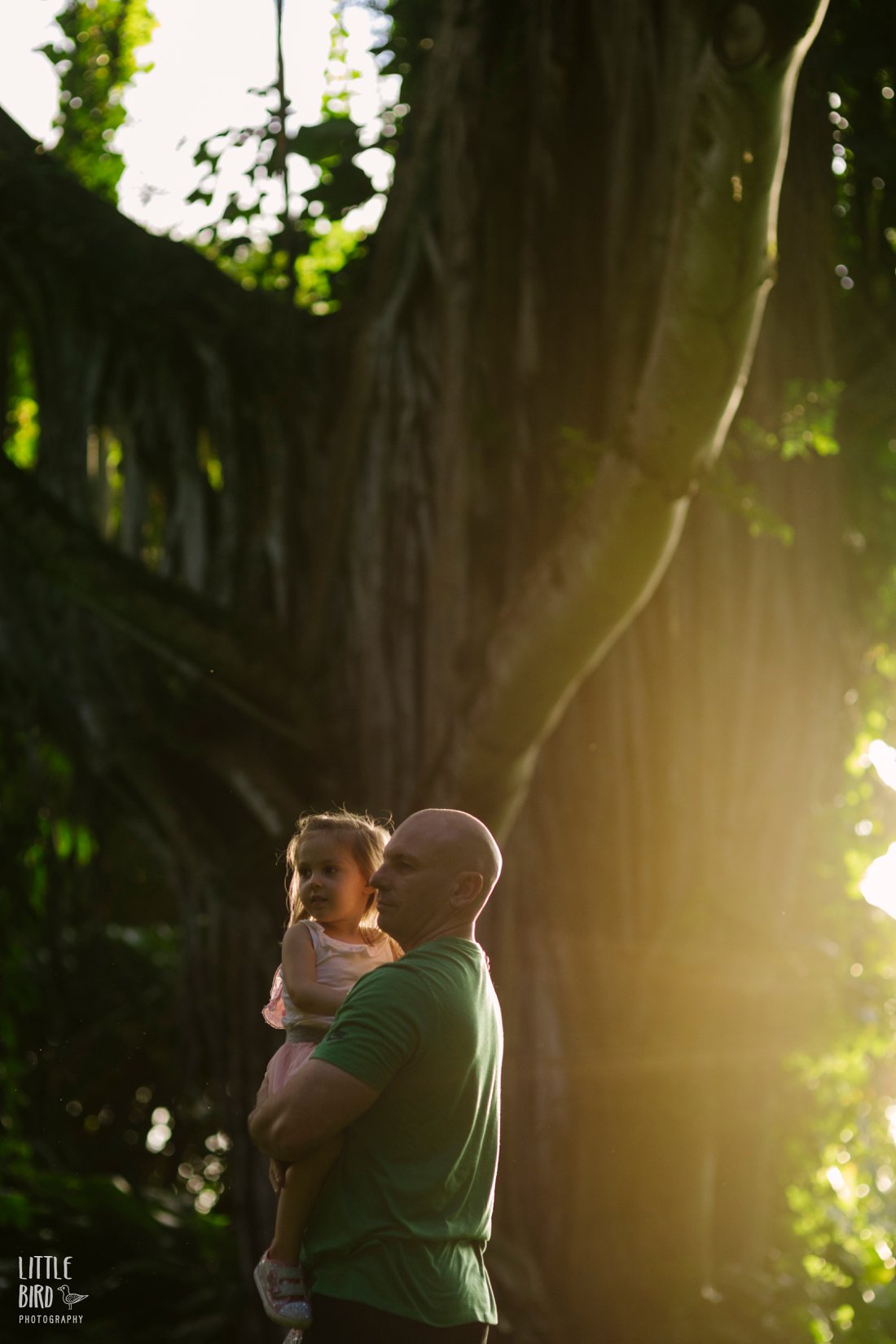 dad and daughter in the forest at sunset