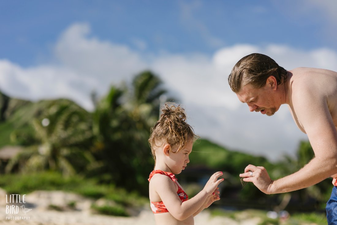 dad and daughter exploring lanikai beach for treasures