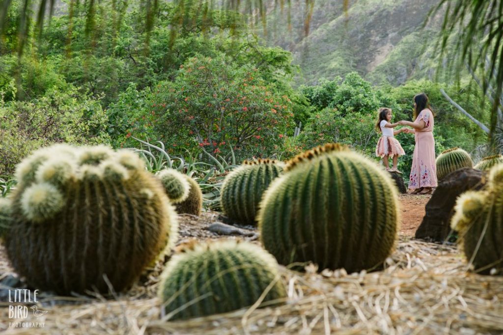 mom and daughter play in the barrel cactus garden in oahu hawaii
