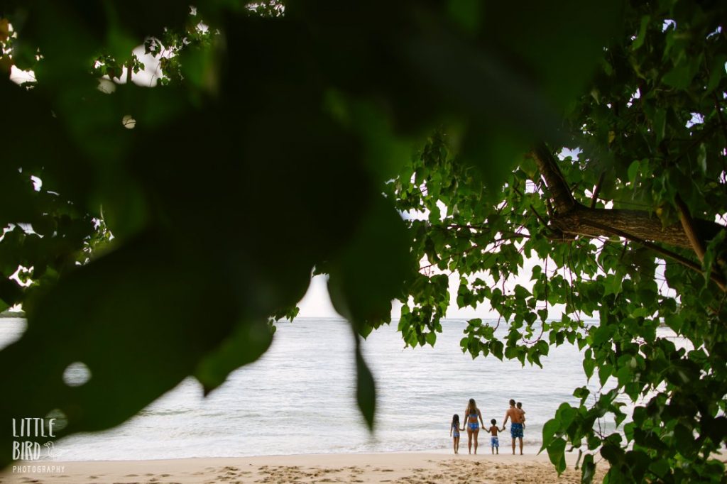 family playing at the beach at kawela bay oahu during a photoshoot