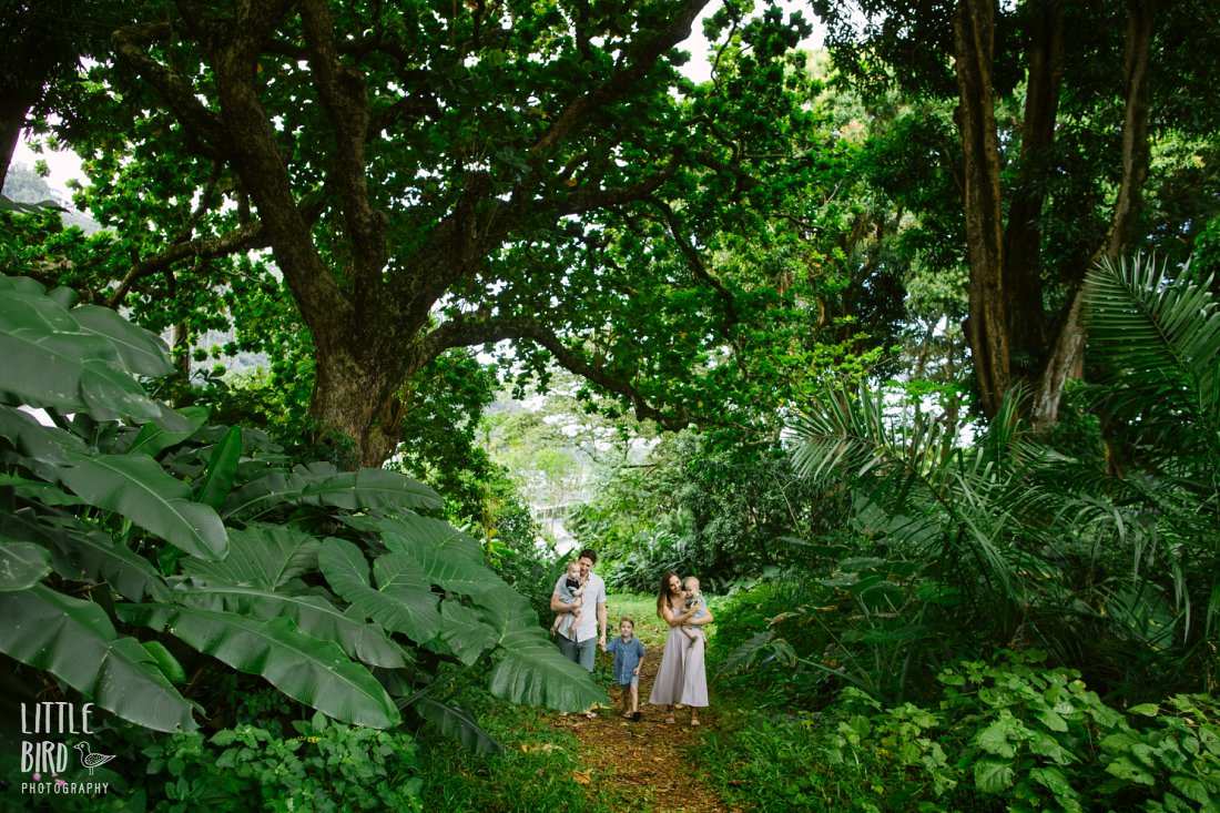 family walking in a tropical park in hawaii