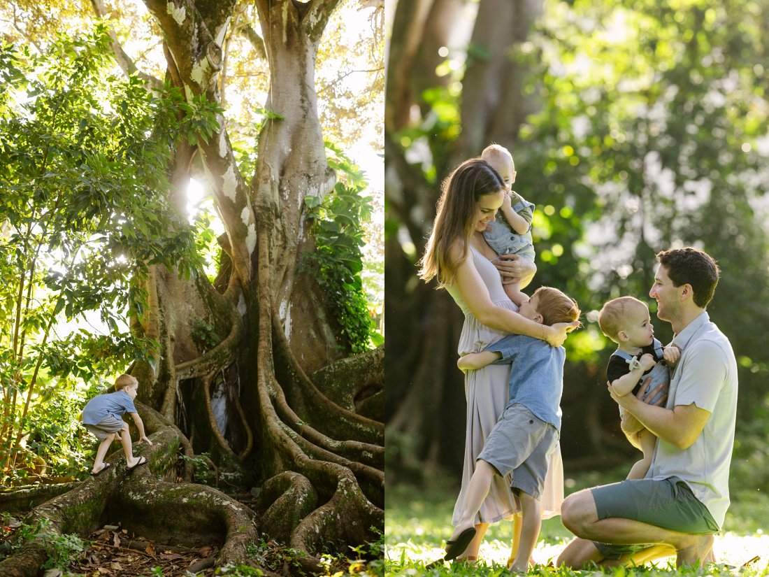 family photography at nuuanu park in oahu