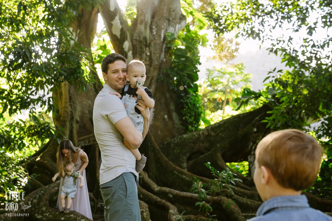 family exploring large trees during a photo session by little bird photography