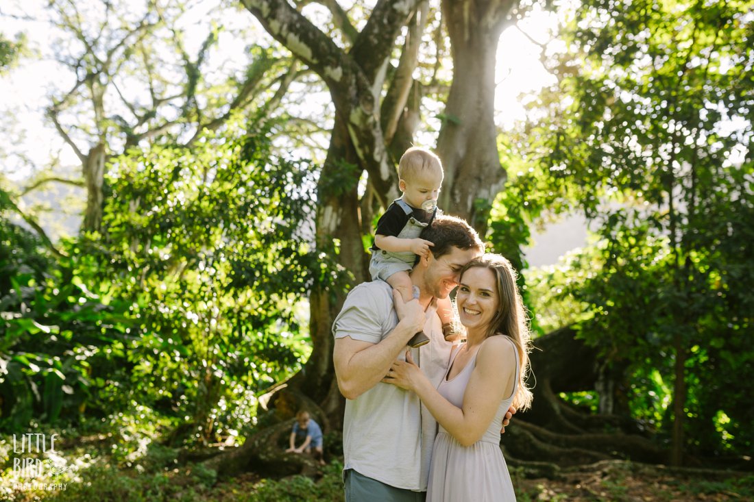 sweet family photo next to a large banyan tree in hawaii