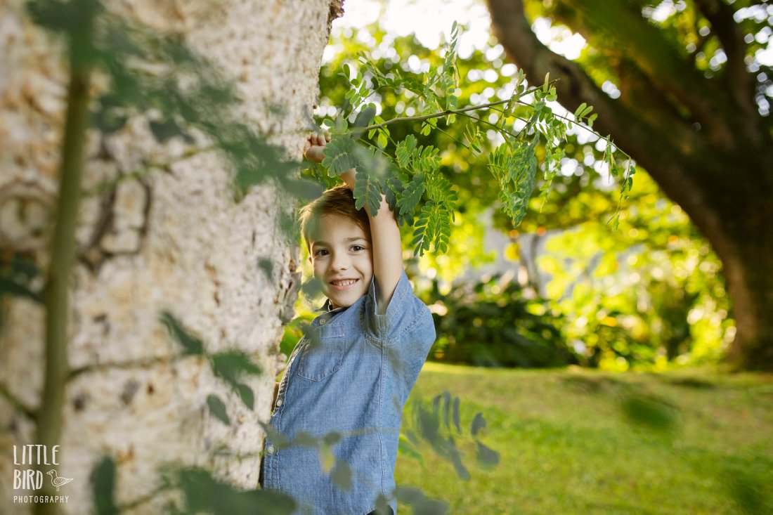 boy hanging from a tree in the park