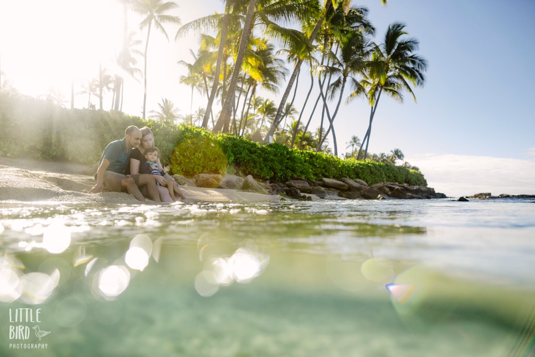 partial underwater family portrait in hawaii by little bird photography